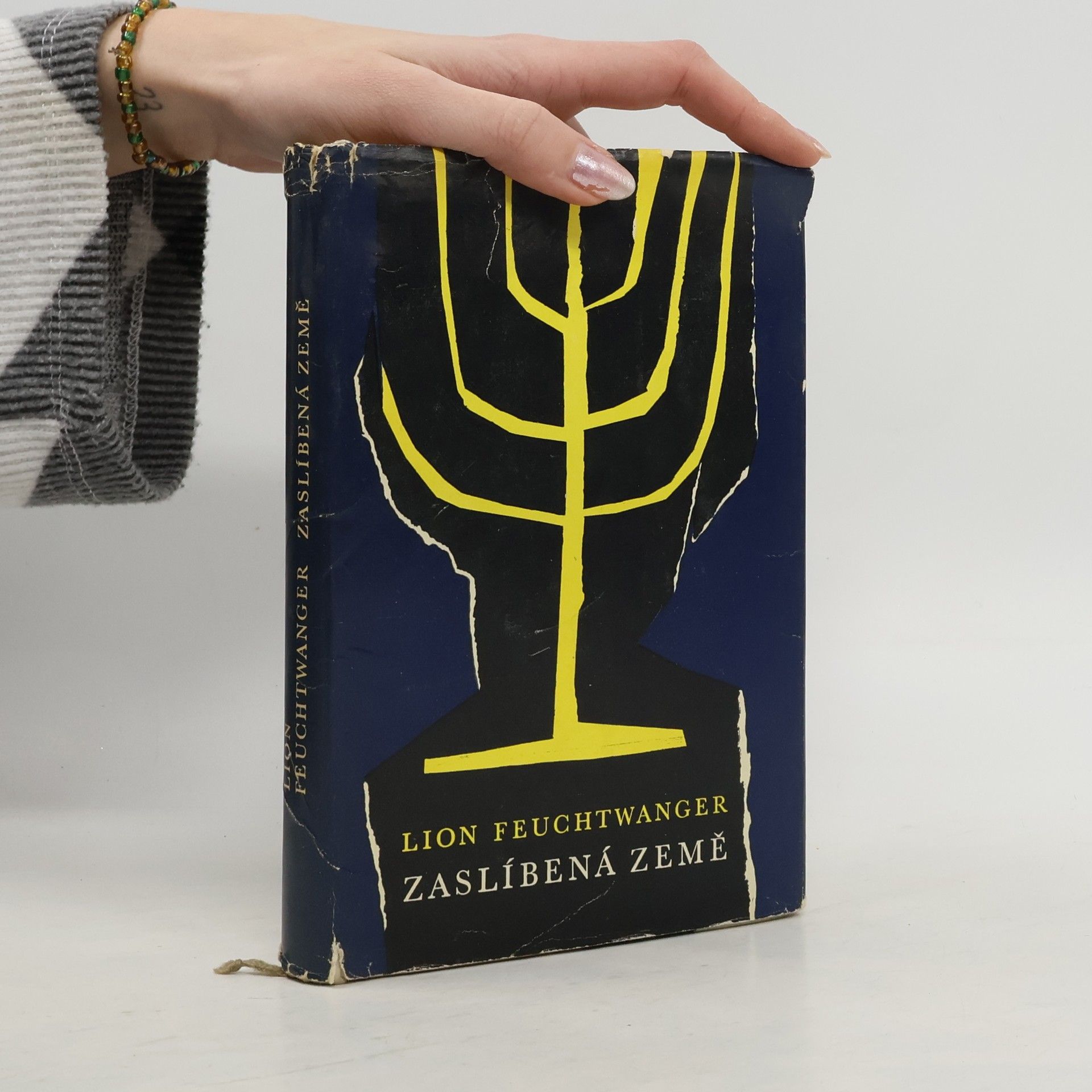 Lion Feuchtwanger Zaslíbená země