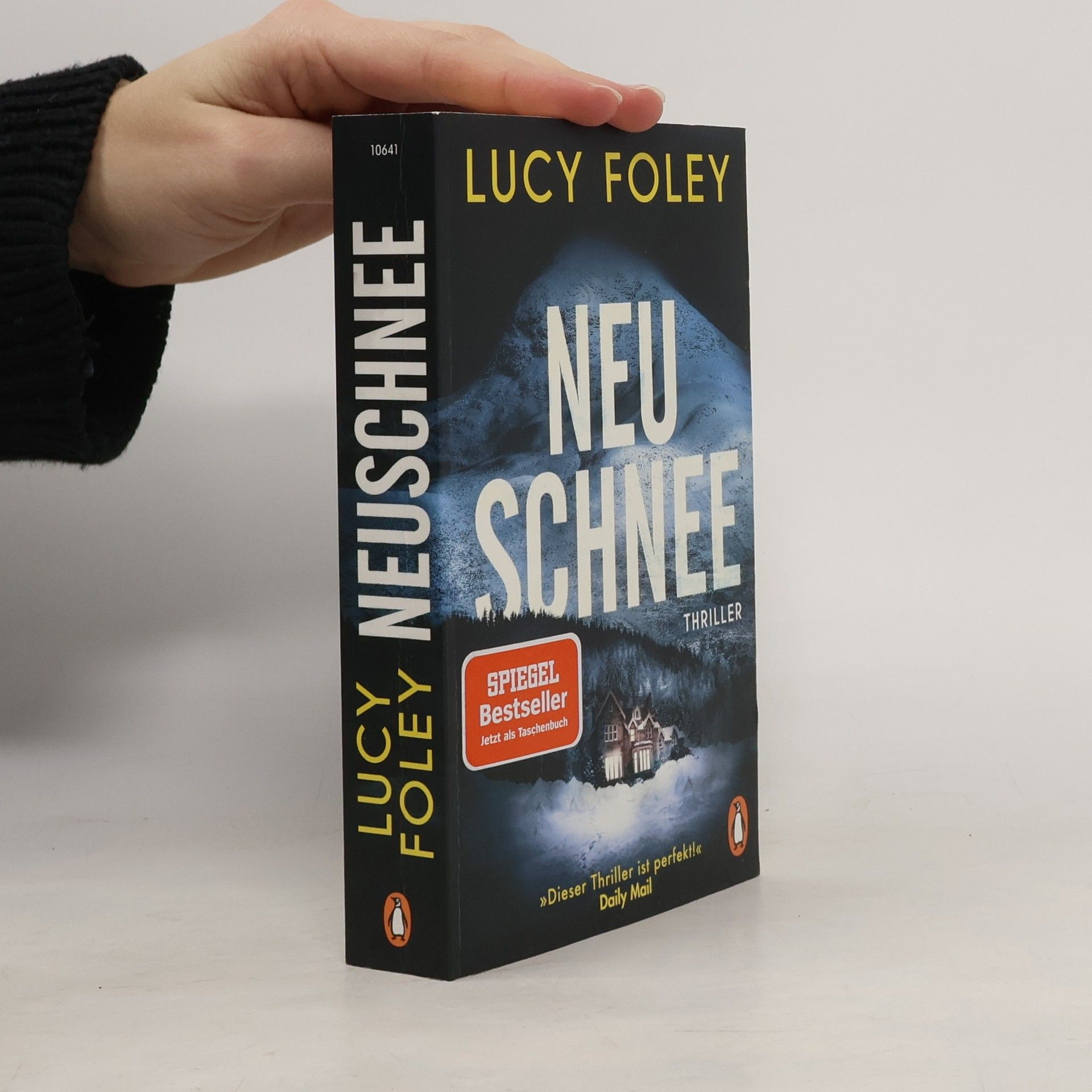 Lucy Foley Neuschnee