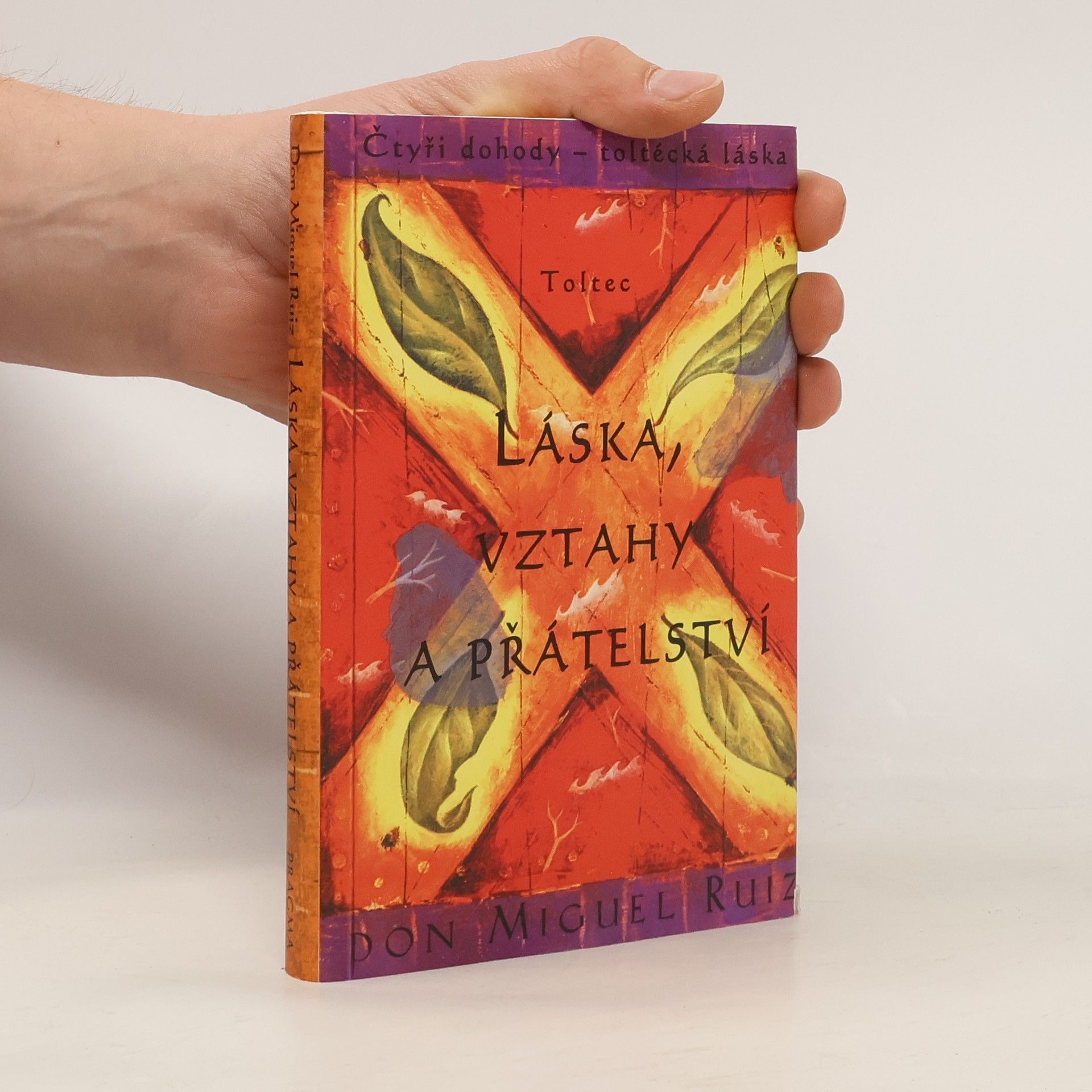 Don Miguel Ruiz Láska, vztahy a přátelství