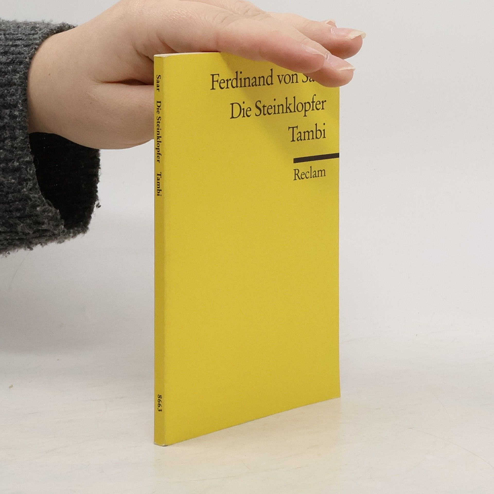 Ferdinand von Saar Die Steinklopfer Tambi