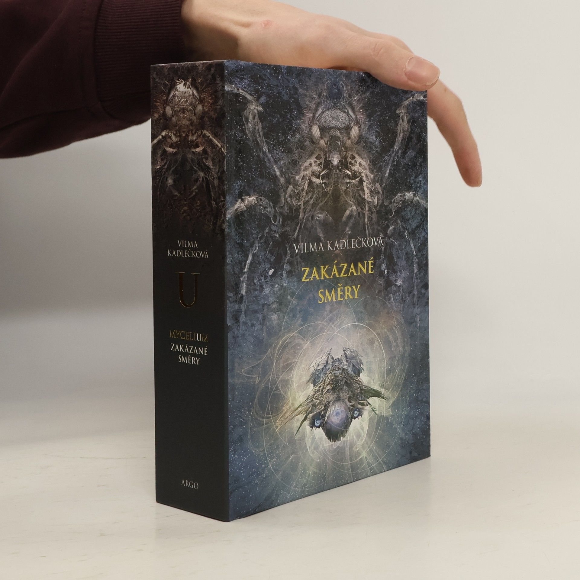 Vilma Kadlečková Zakázané směry