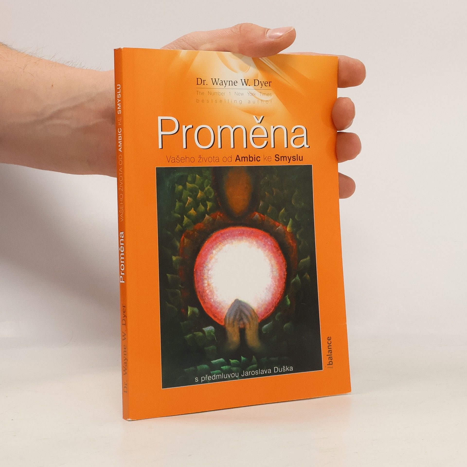 Wayne Dyer Proměna vašeho života od ambic ke smyslu