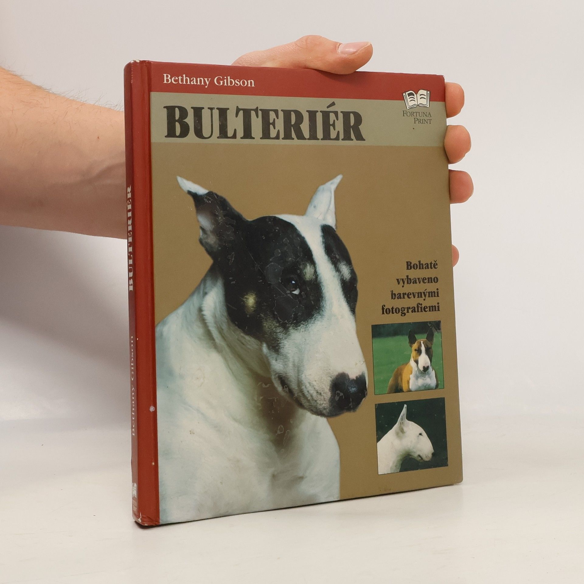 Bulteriér