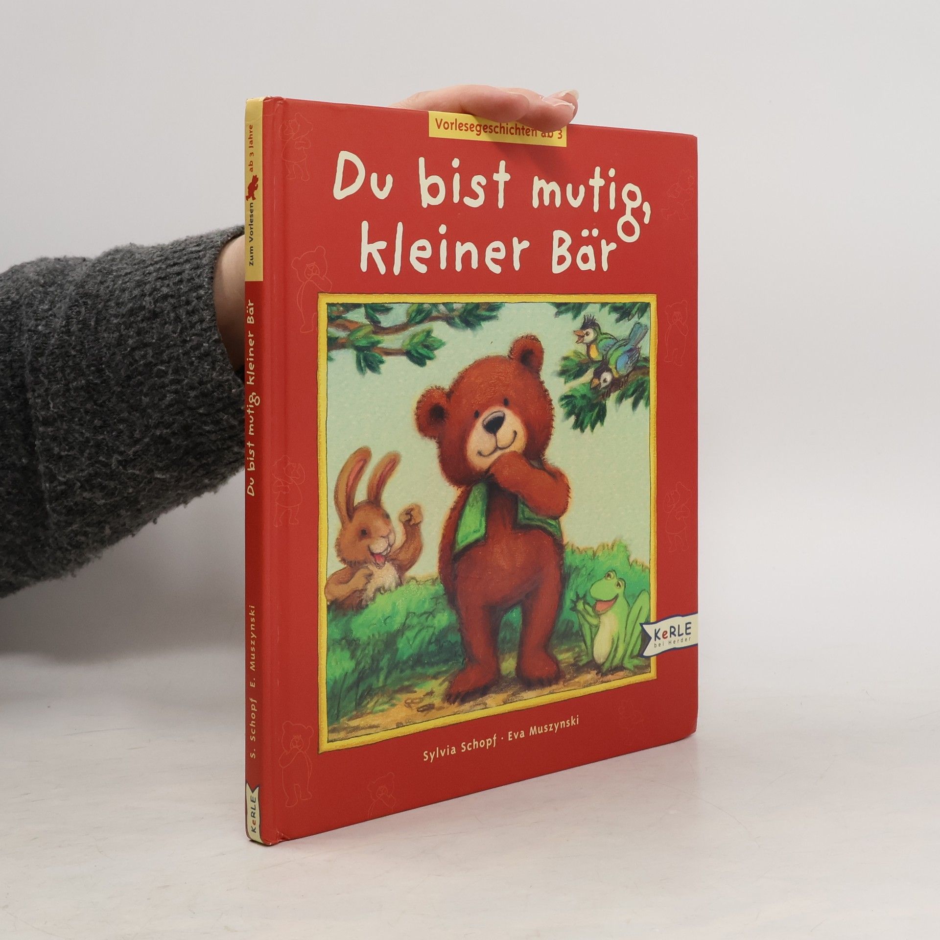 Sylvia Schopf Du bist mutig, kleiner Bär