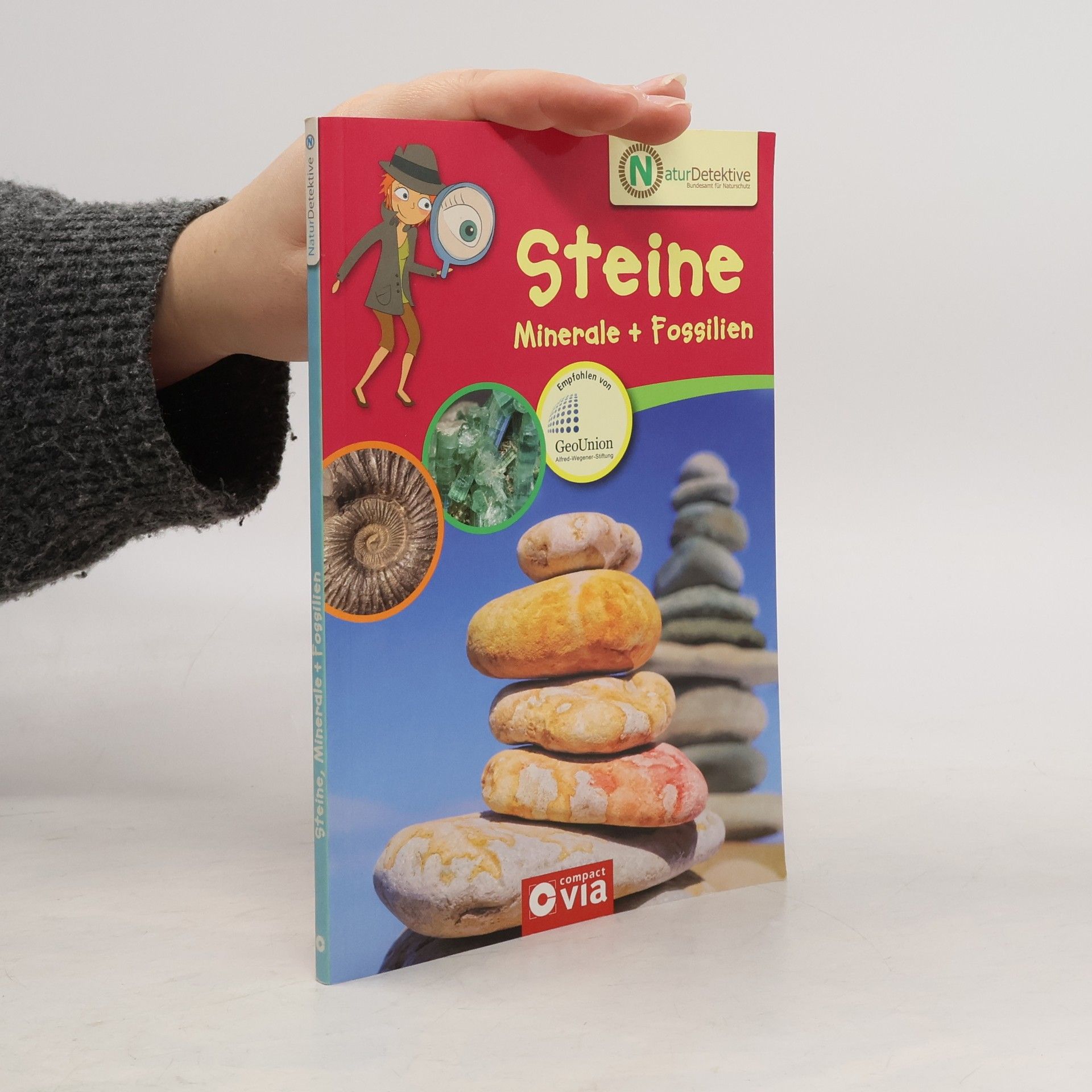 Steine, Mineralien + Fossilien