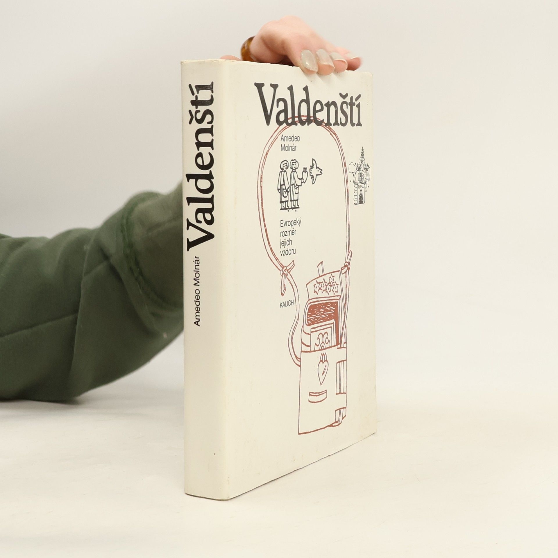 Amedeo Molnár Valdenští. Evropský rozměr jejich vzdoru