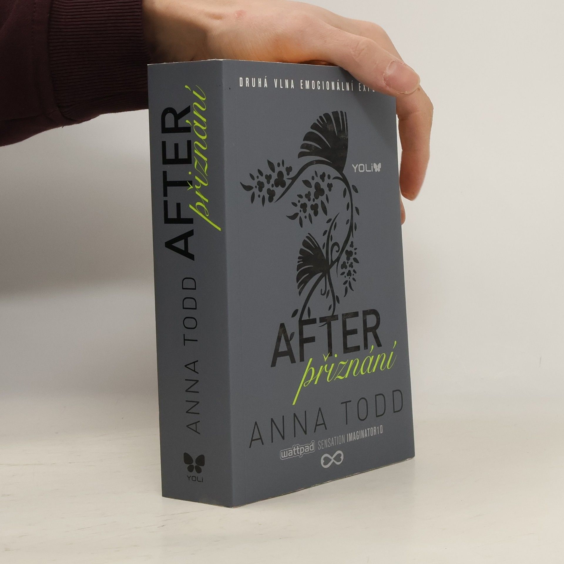 Anna Todd After. Přiznání