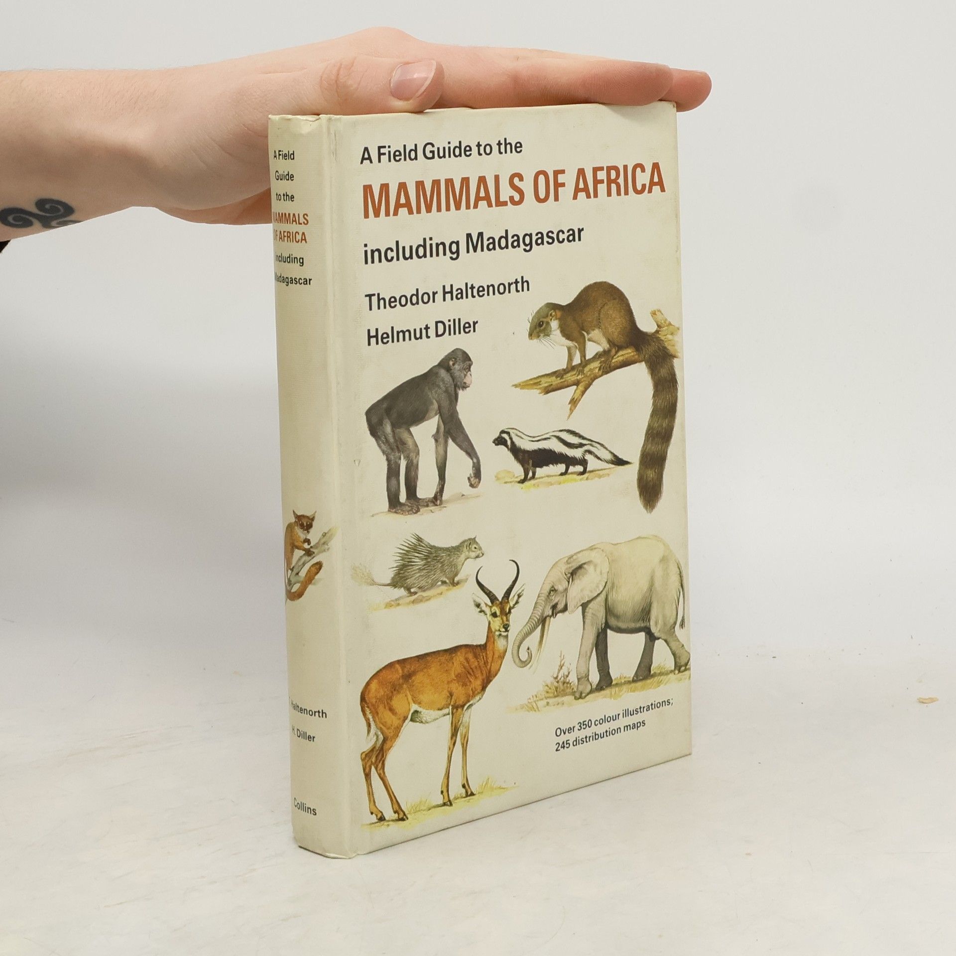 Mammals of Africa Including Madagascar