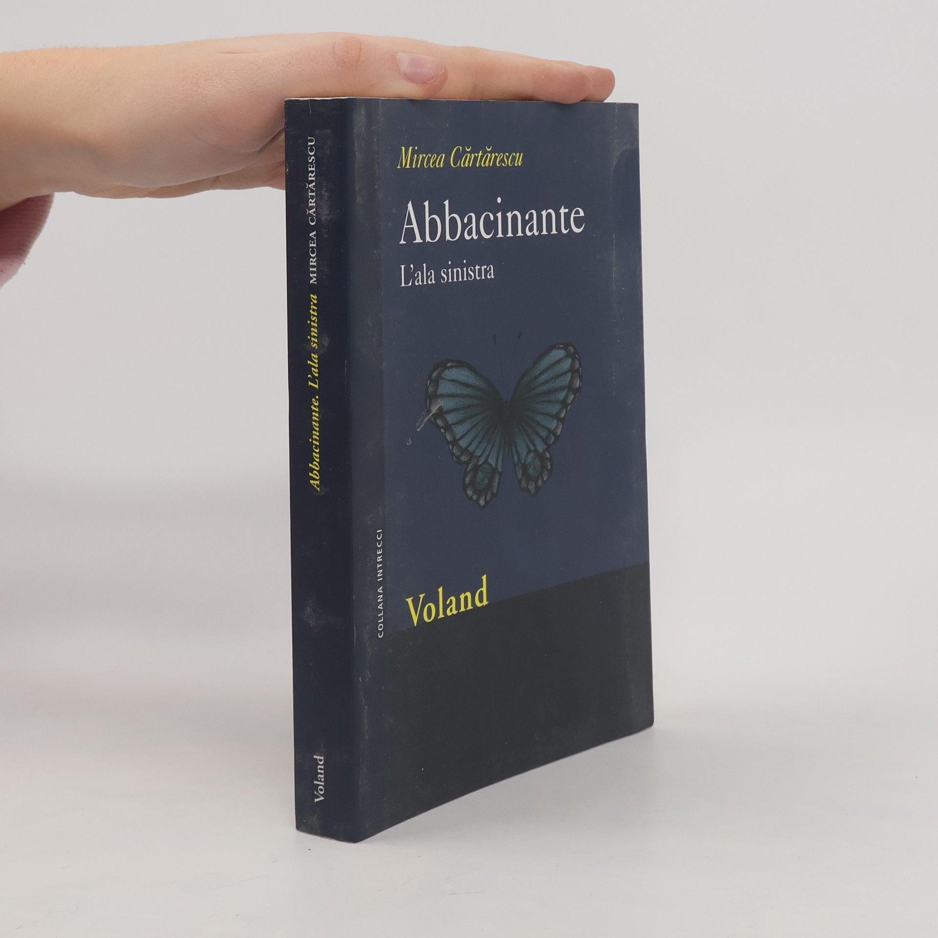 Bruno Mazzoni Abbacinante. L'ala sinistra