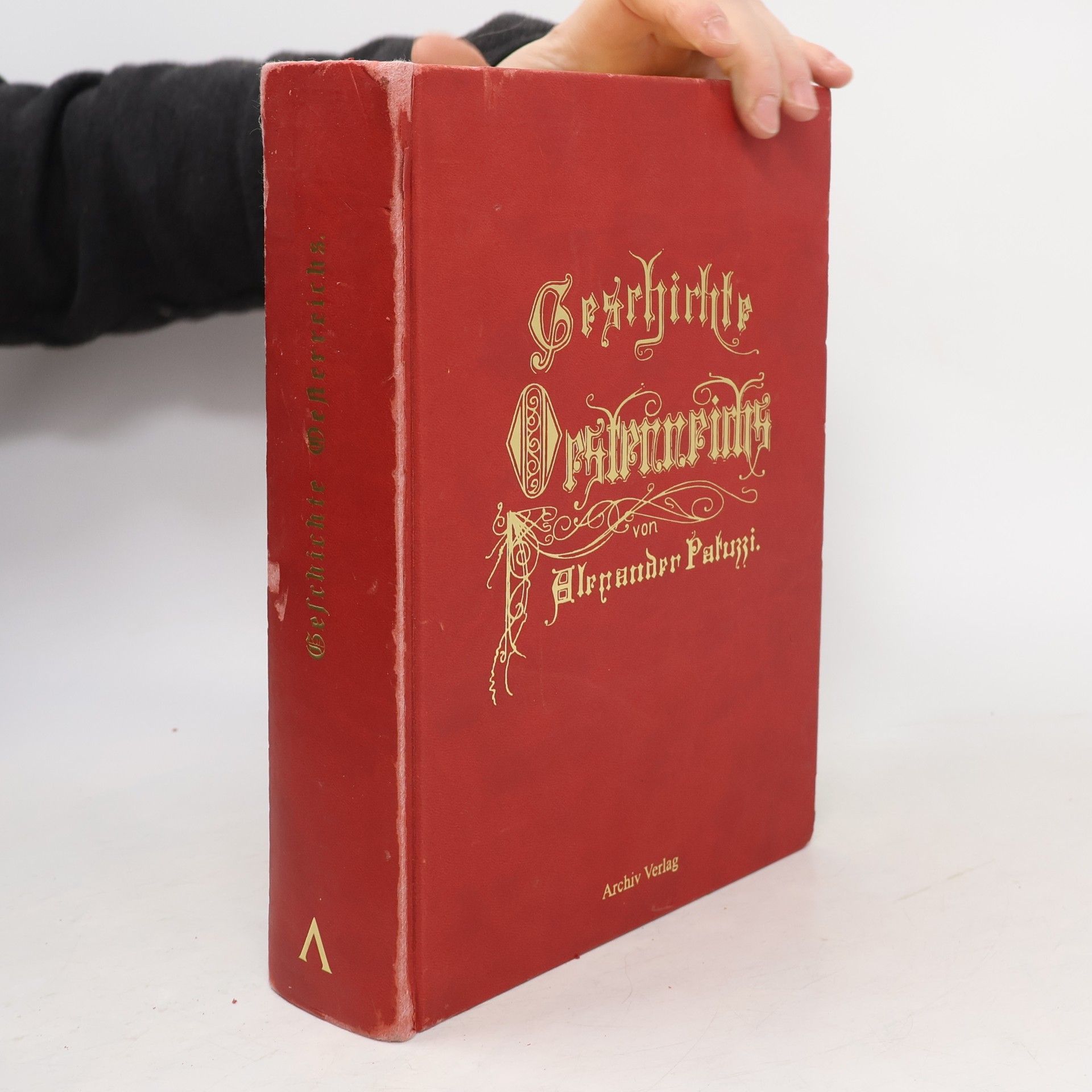 Alexander Patuzzi Geschichte Österreichs 408