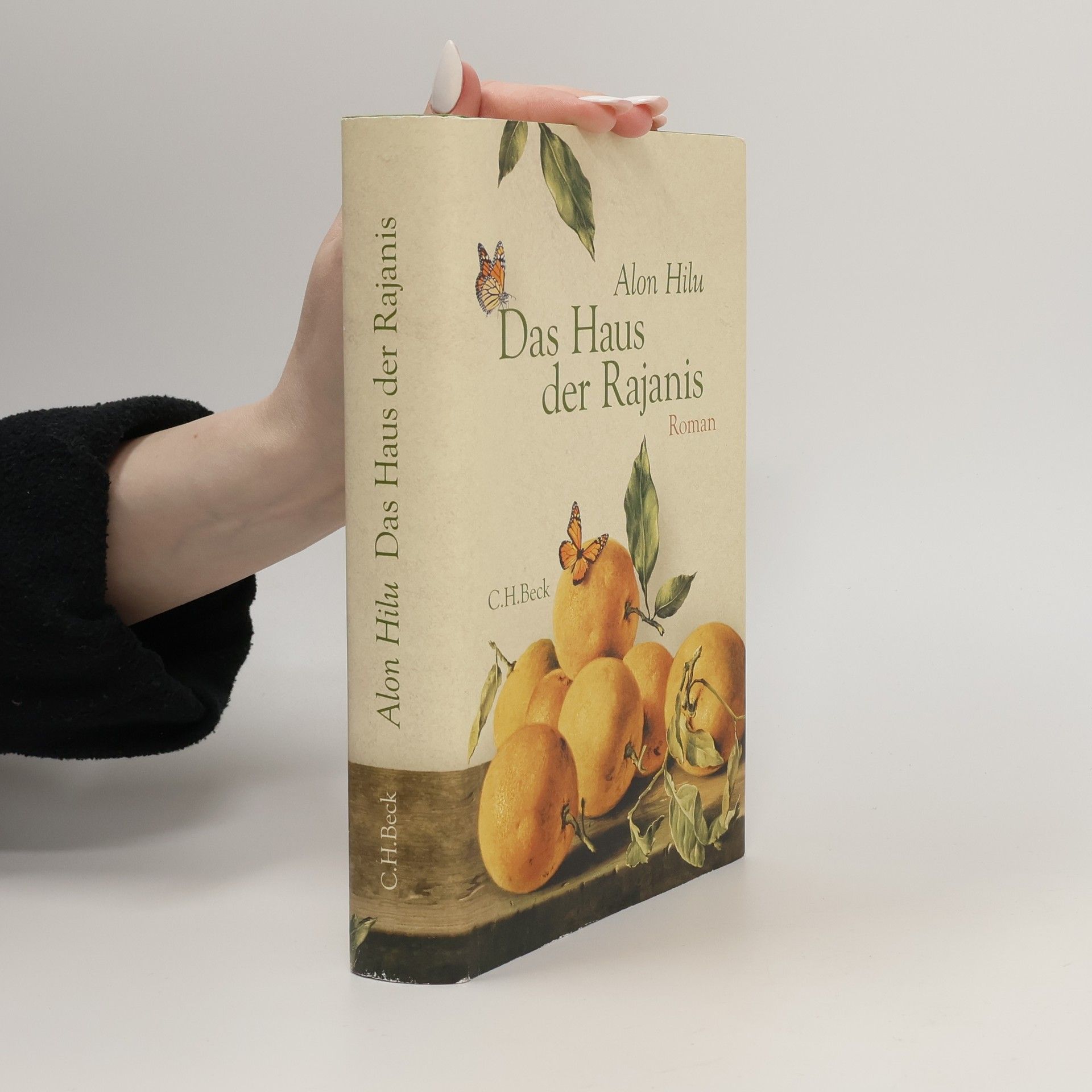 Alon H. ilu Das Haus der Rajanis