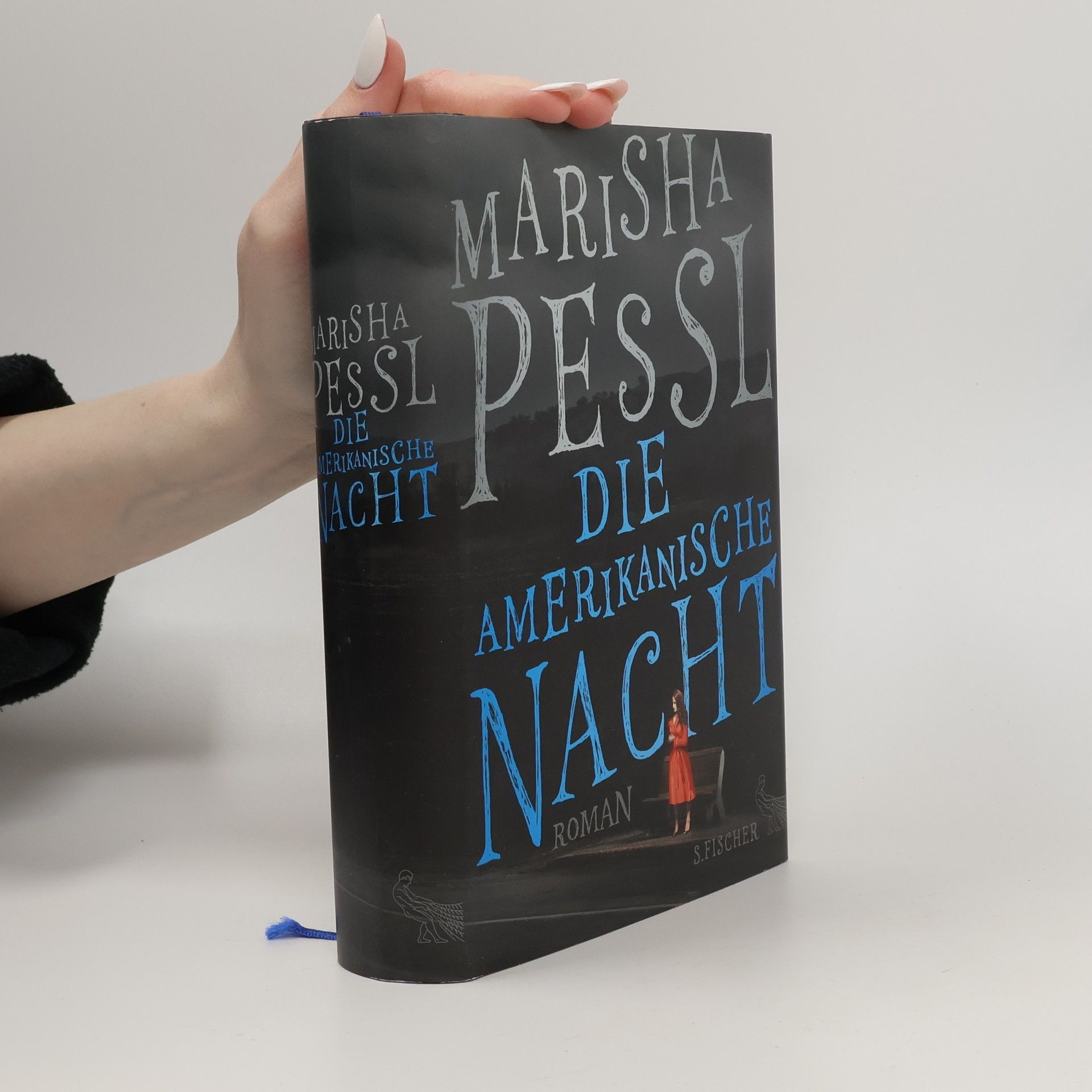 Marisha Pessl Die amerikanische Nacht