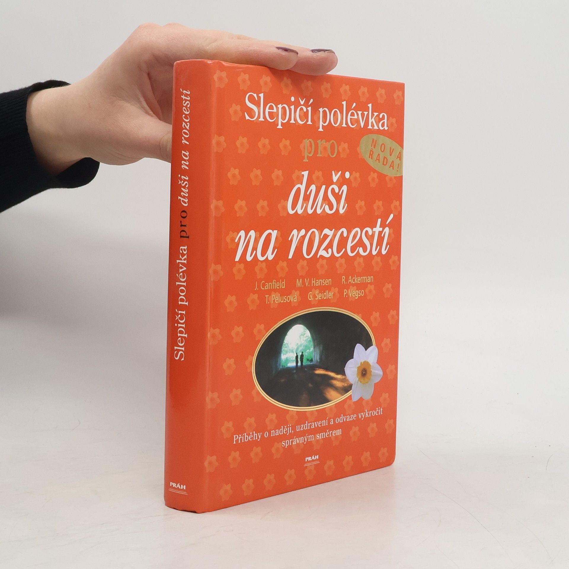 Jack Canfield Slepičí polévka pro duši na rozcestí