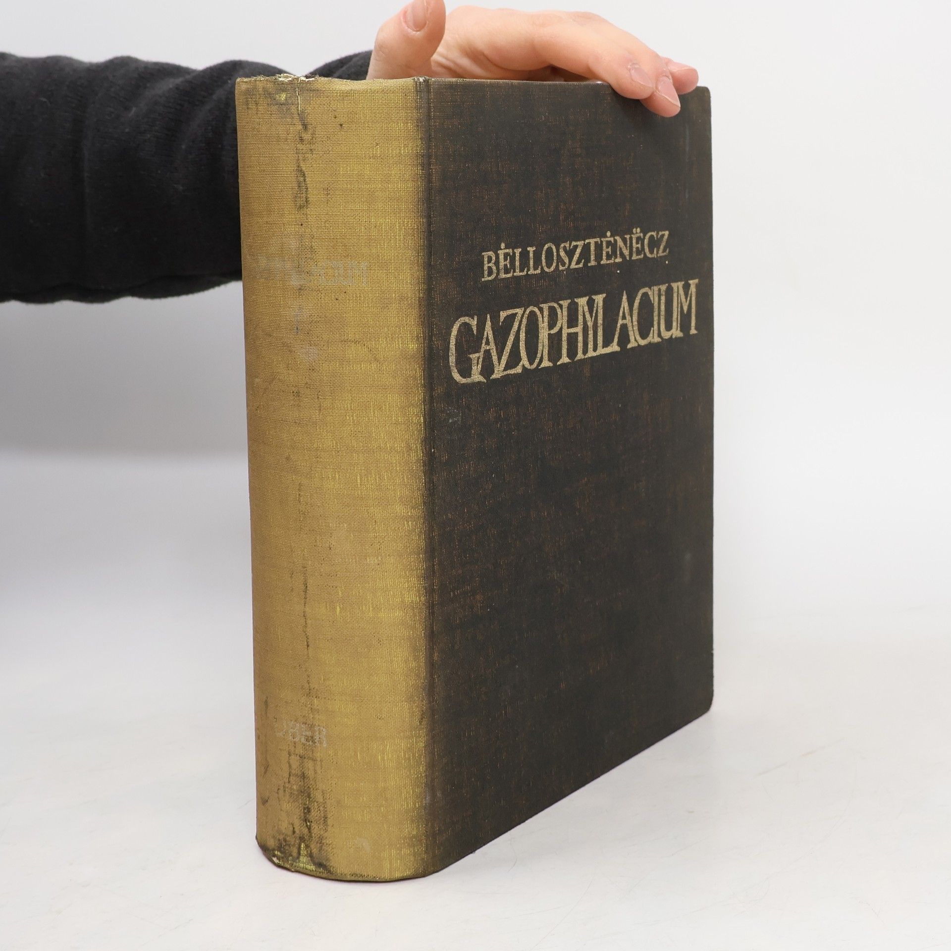 Joannis Bėllosztėnëcz Gazophylacium, seu Latino-Illyricorum onomatum