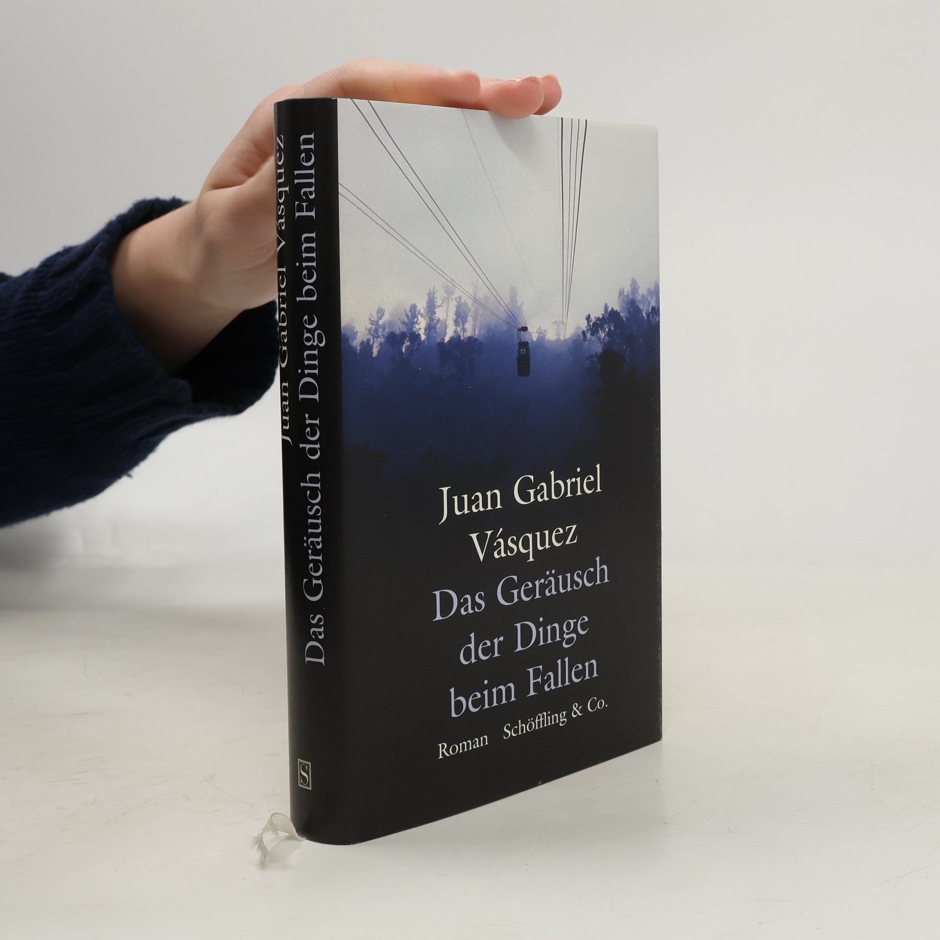 Juan Gabriel Vásquez Das Geräusch der Dinge beim Fallen