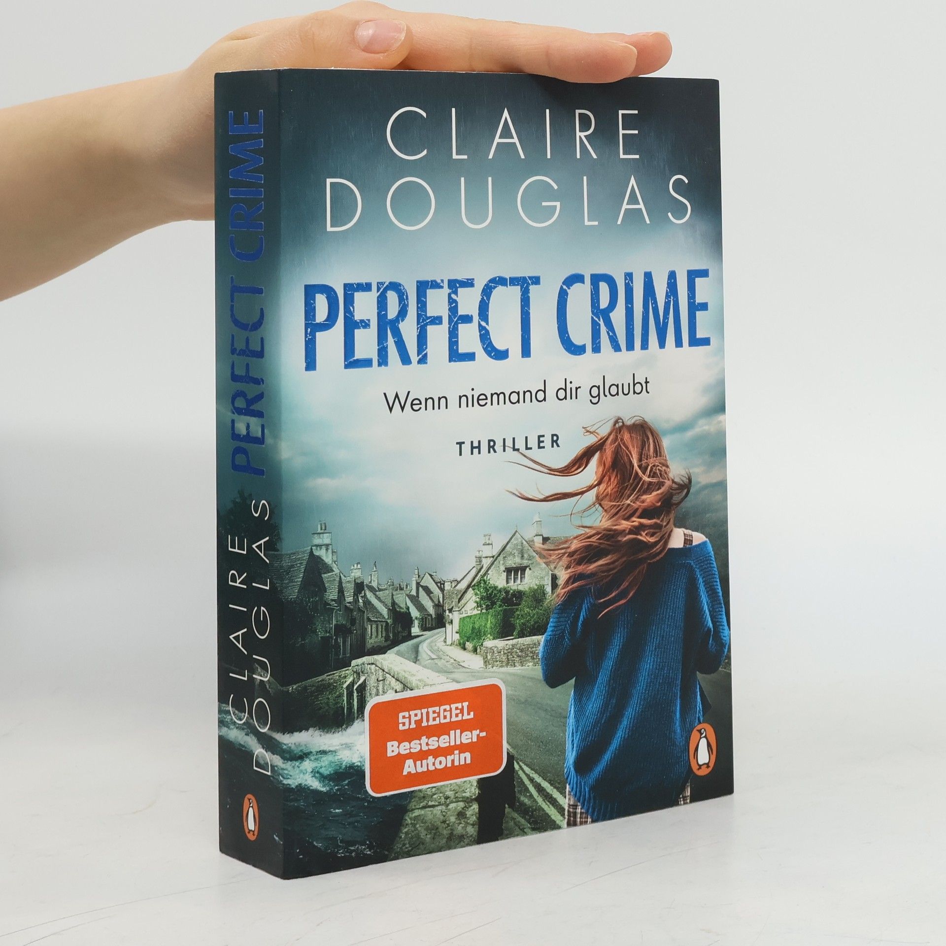 Claire Douglas Perfect Crime