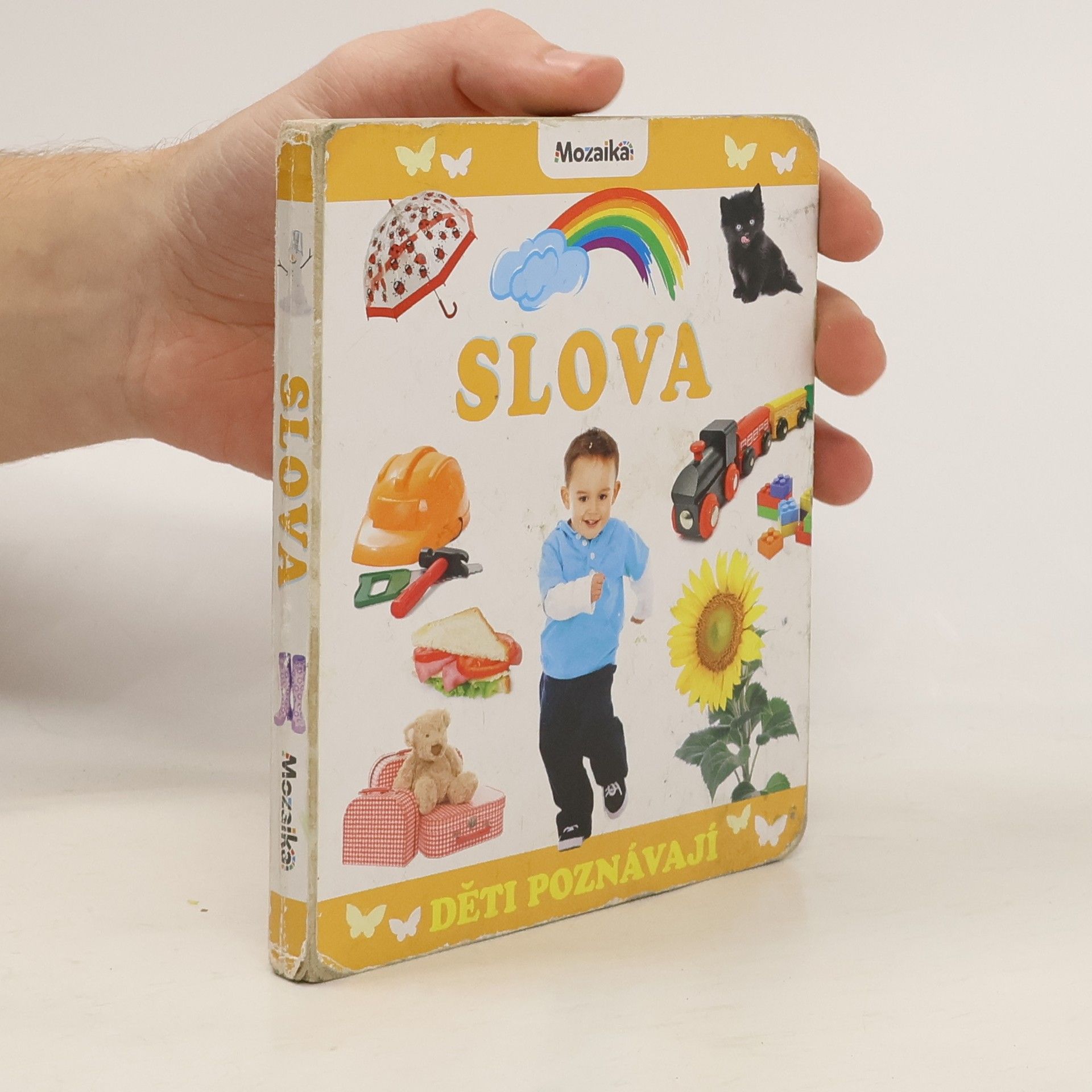 Autorenkollektiv Děti poznávají slova