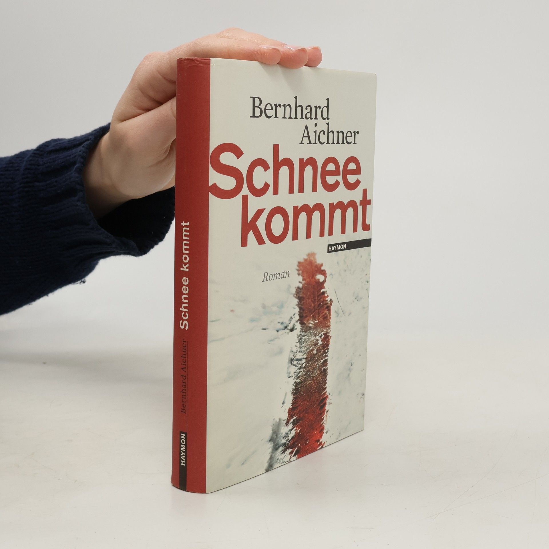 Bernhard Aichner Schnee kommt