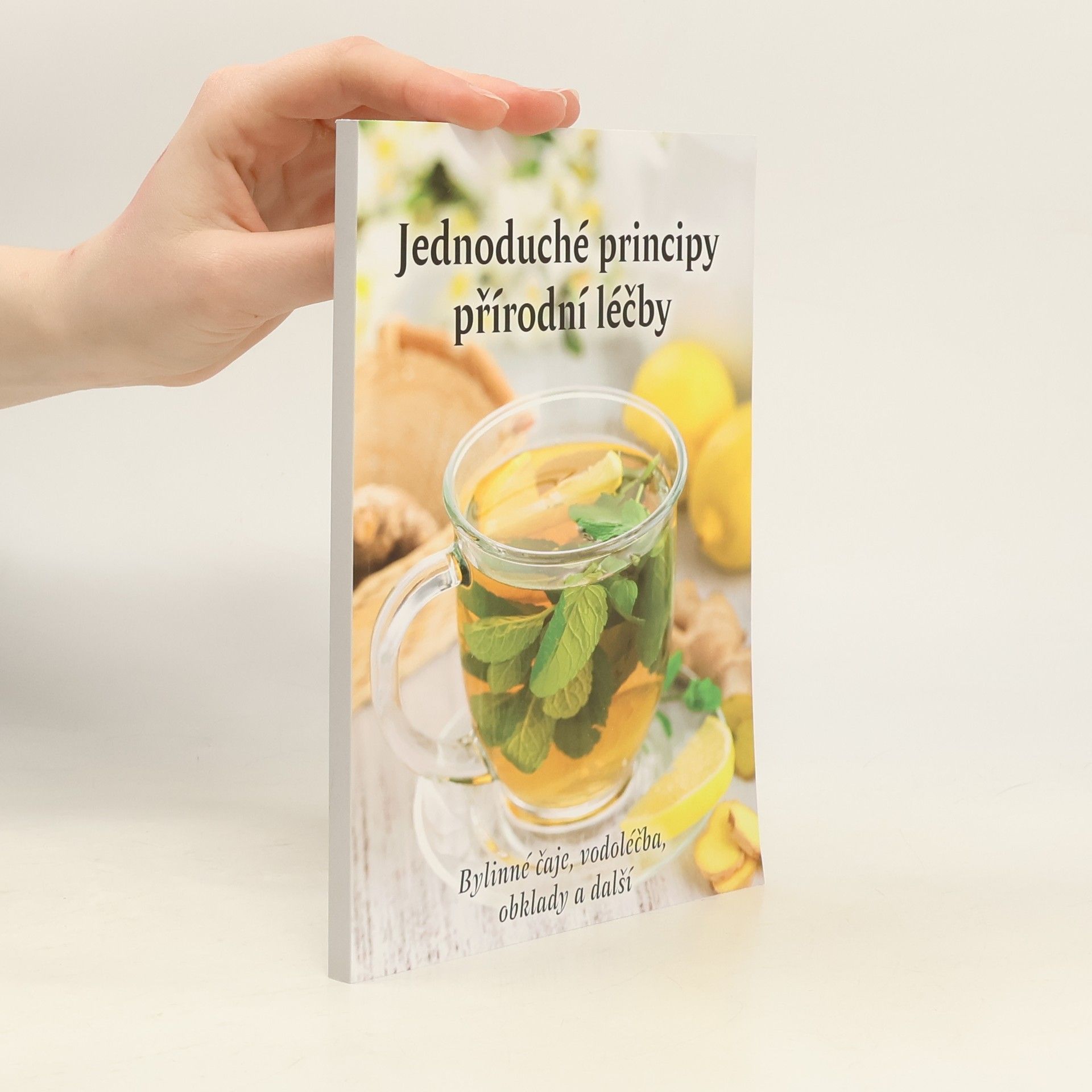 Kolektív autorov Jednoduché principy přírodní léčby