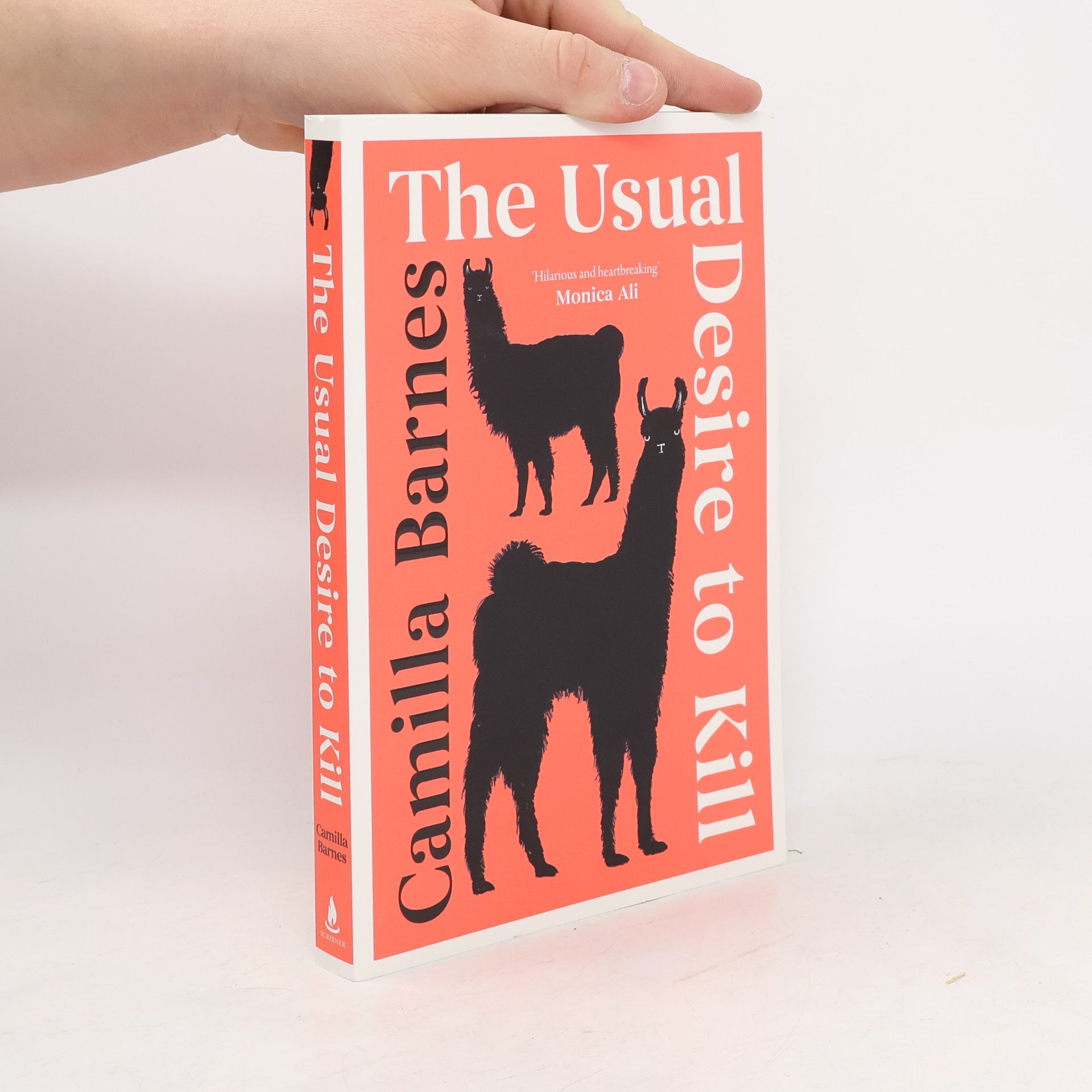 Camilla Barnes The Usual Desire to Kill