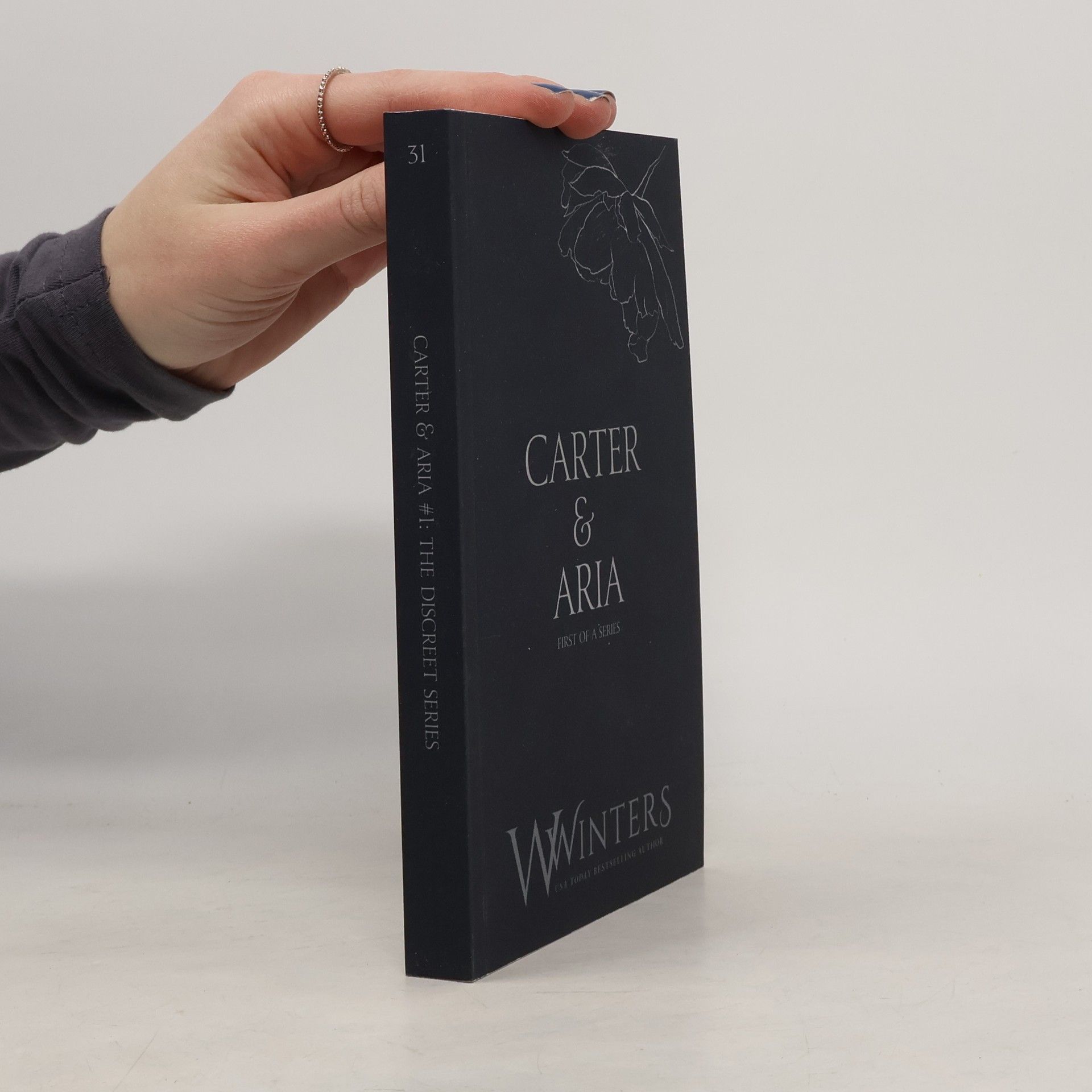 Willow Winters The Discreet Series - 31: Carter & Aria