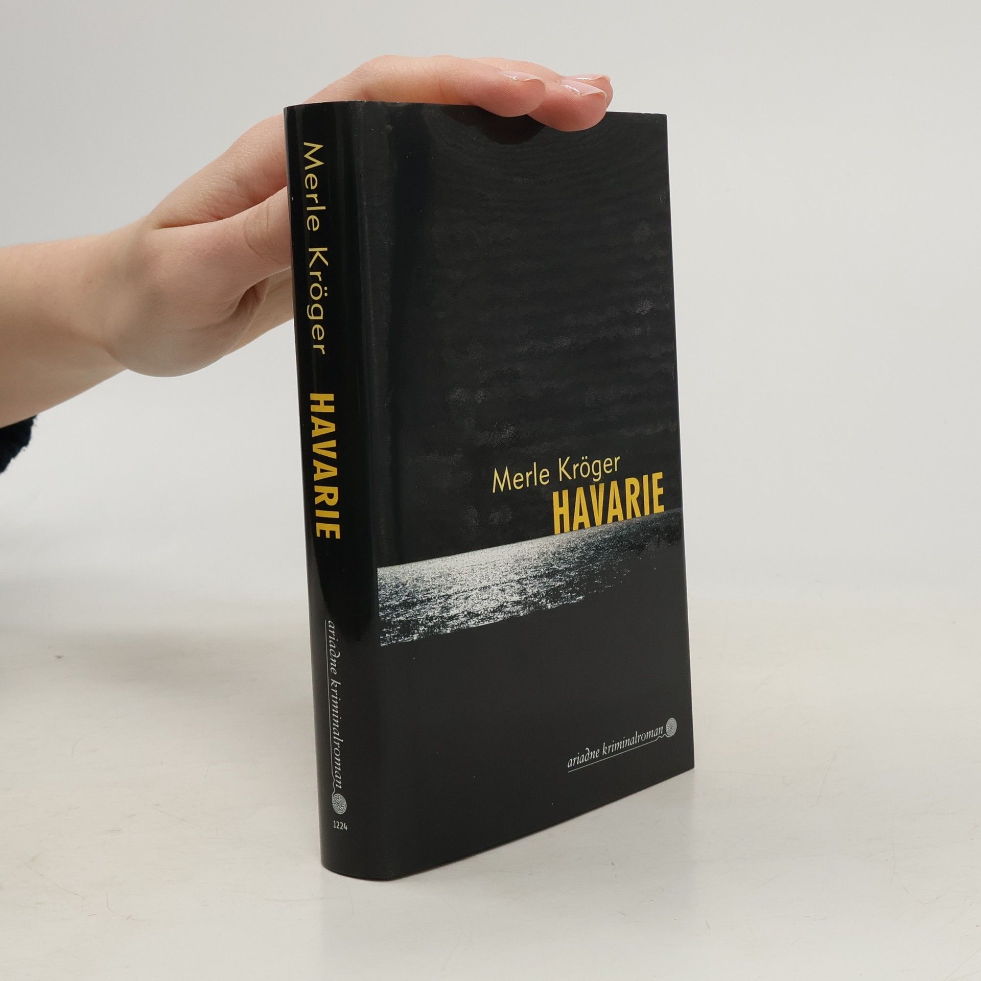 Merle Kröger Havarie