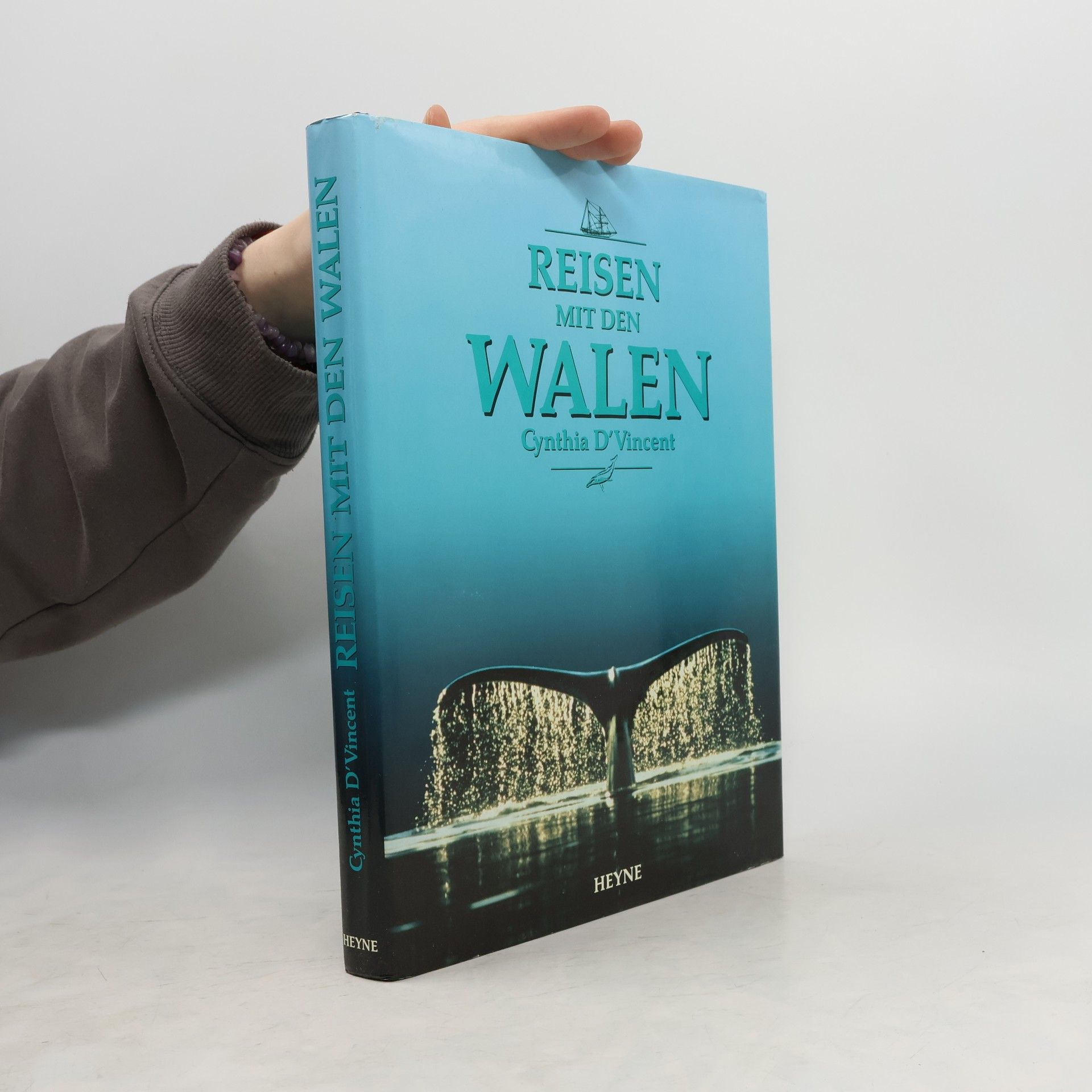 Cynthia DVincent Reisen mit den Walen