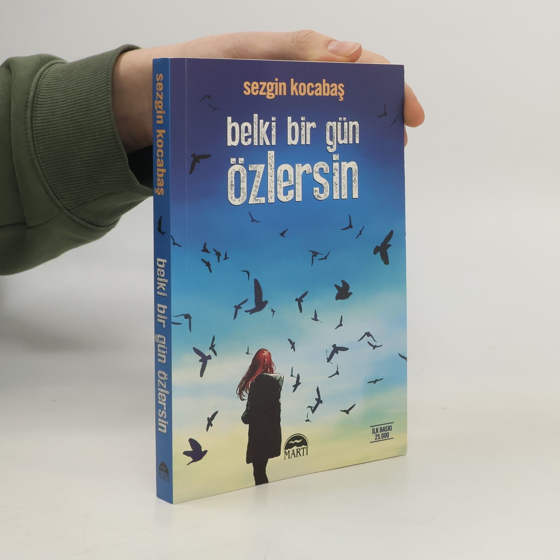 Sezgin Kocabaş Belki Bir Gün Özlersin