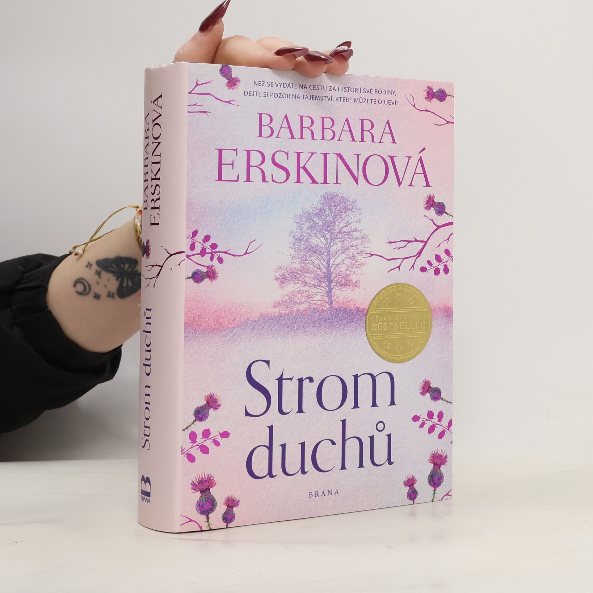 Barbara Erskine Strom duchů