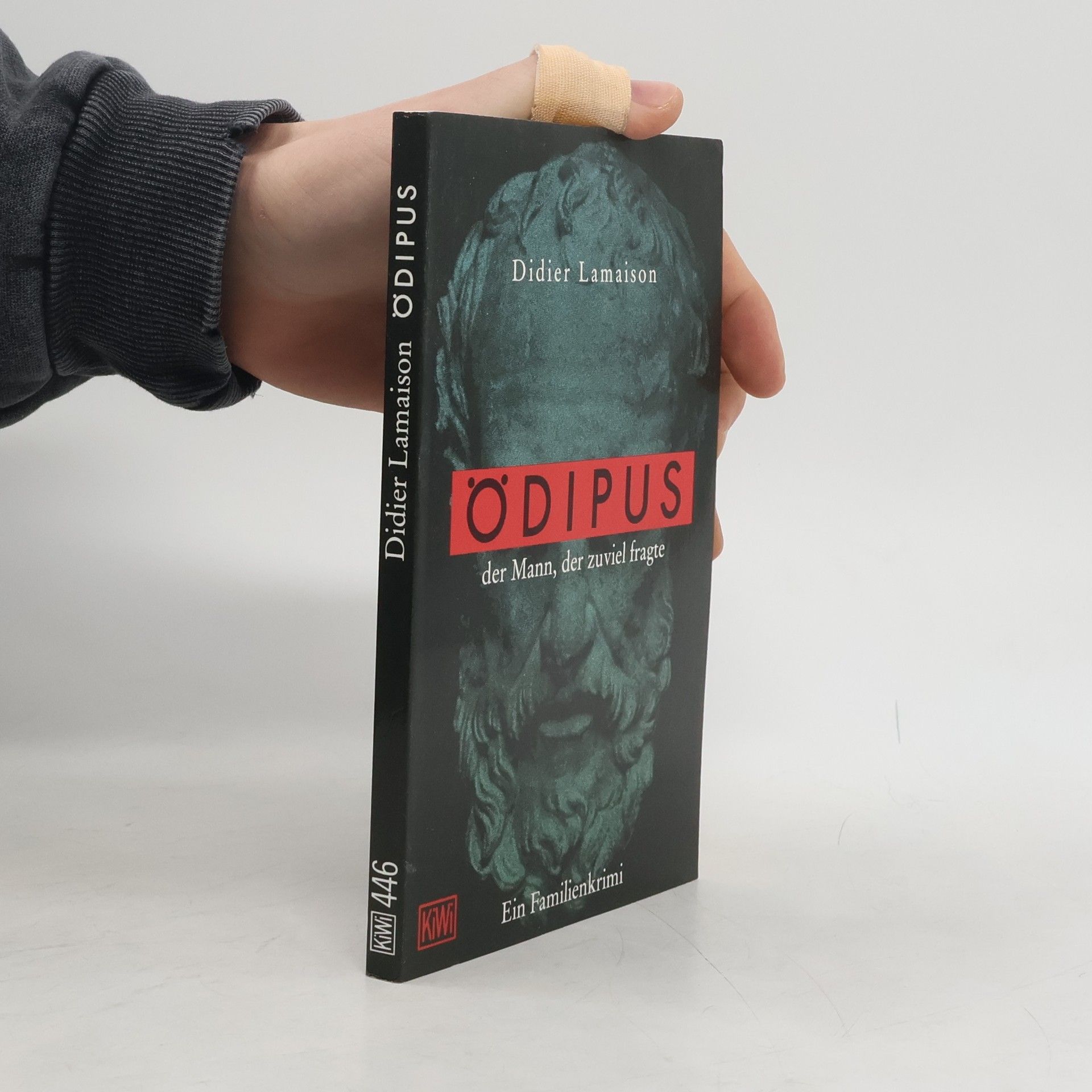 Didier Lamaison Ödipus der Mann, der zuviel fragte