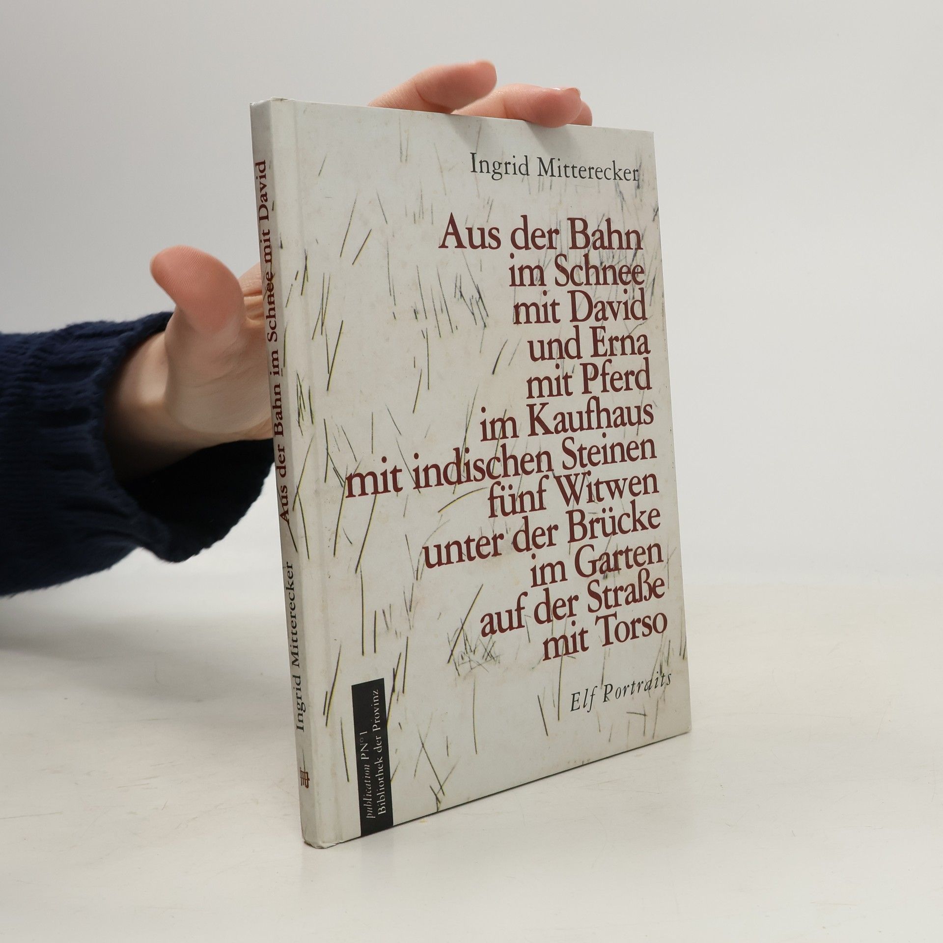 Aus der Bahn, im Schnee, mit David und Erna, mit Pferd, im Kaufhaus, mit indischen Steinen, fünf Witwen, unter der Brücke, im Garten, auf der Strasse, mit Torso