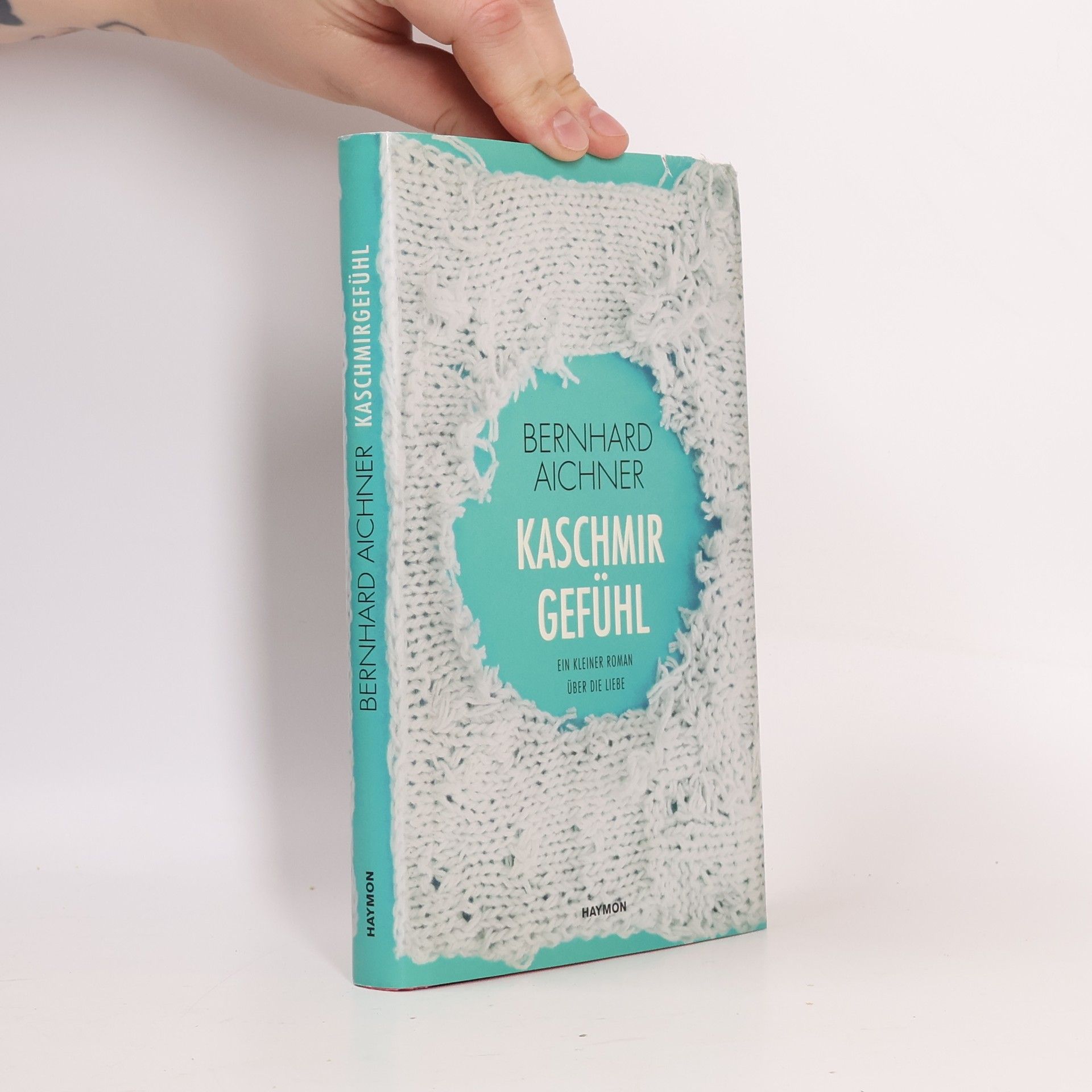 Bernhard Aichner Kaschmirgefühl