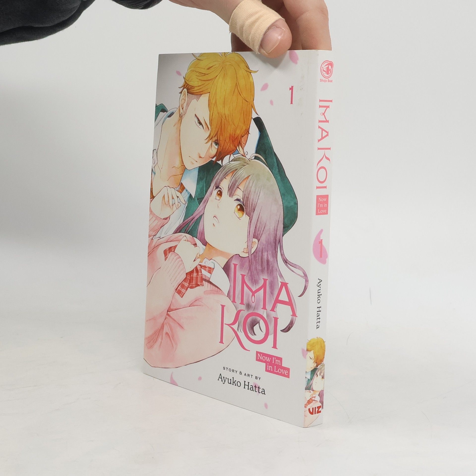 Ayuko Hatta Ima Koi: Now I'm in Love, Vol. 1