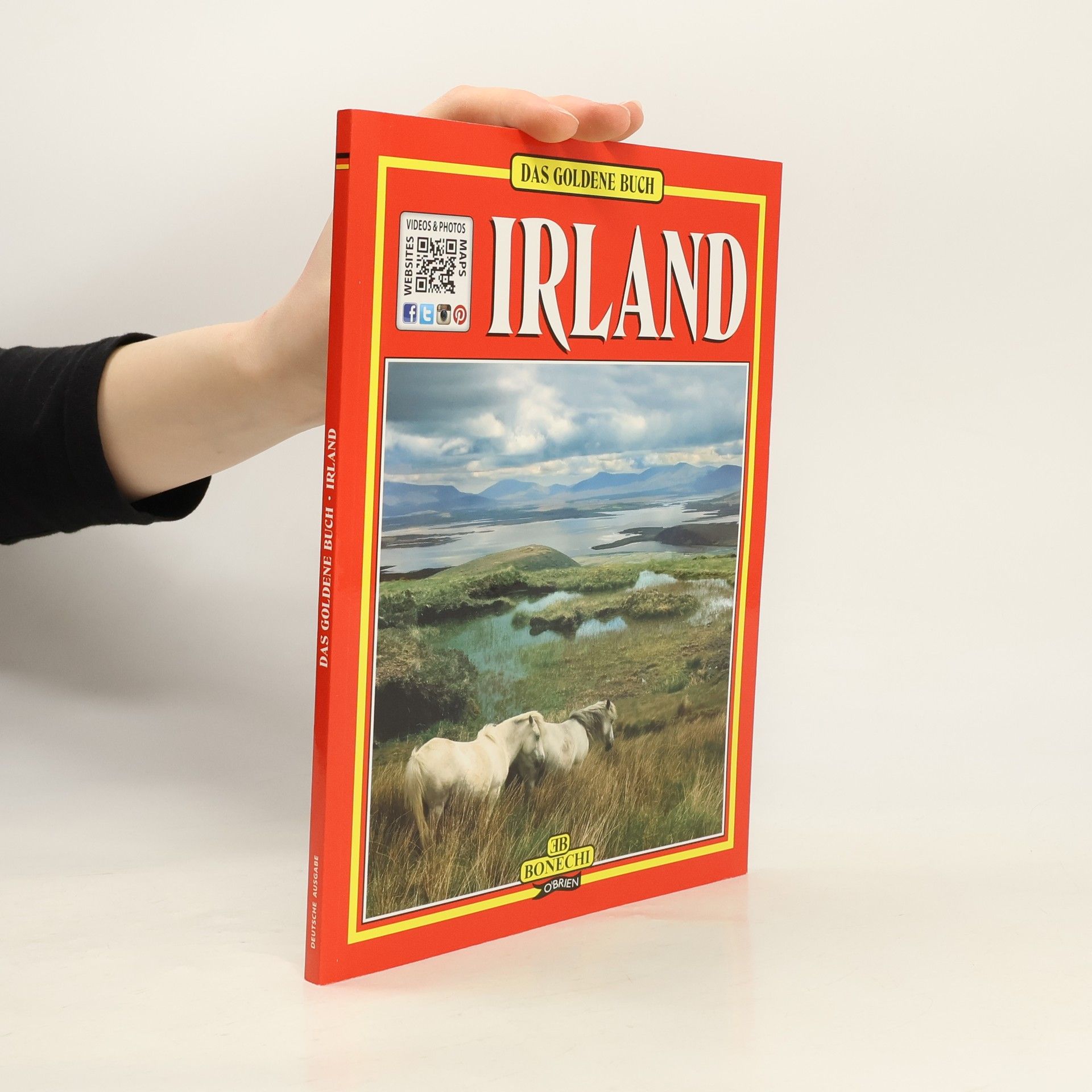 Frances Power Das goldene Buch Irland