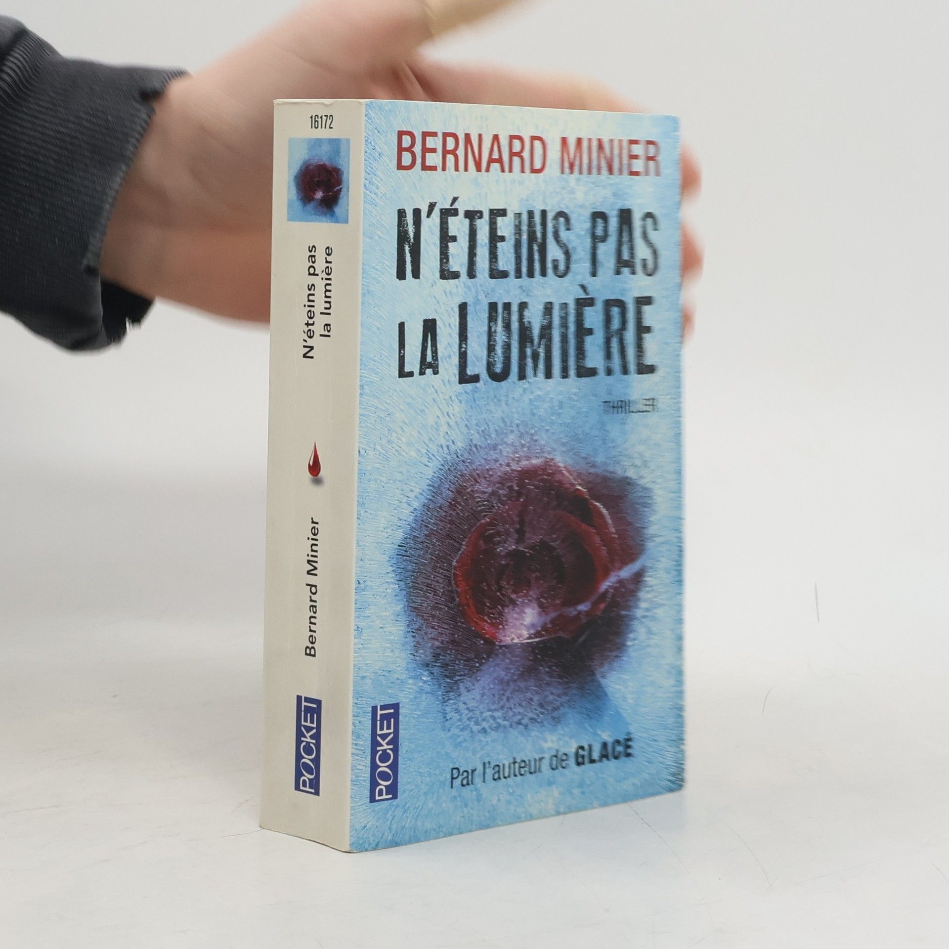 Bernard Minier N'éteins pas la lumière