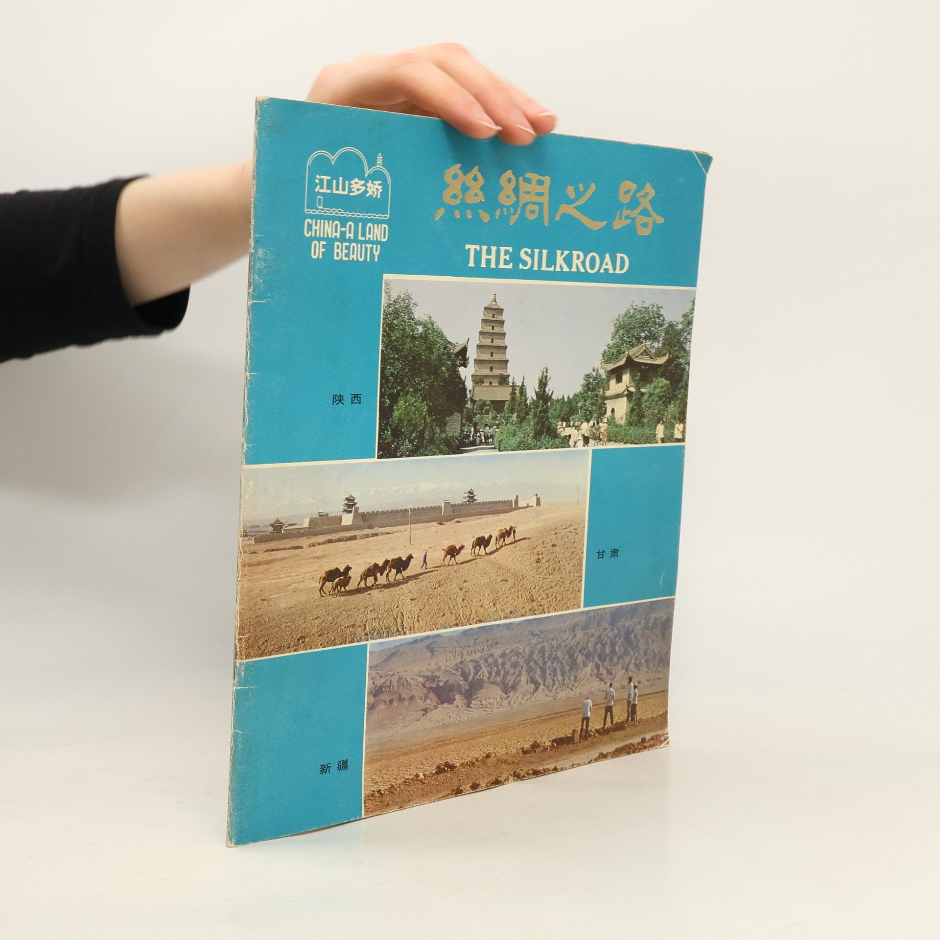 Autorenkollektiv The Silkroad