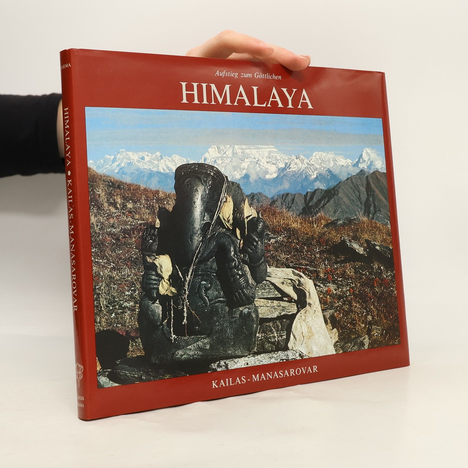 Sadhana Varma Aufstieg zum Göttlichen Himalaya