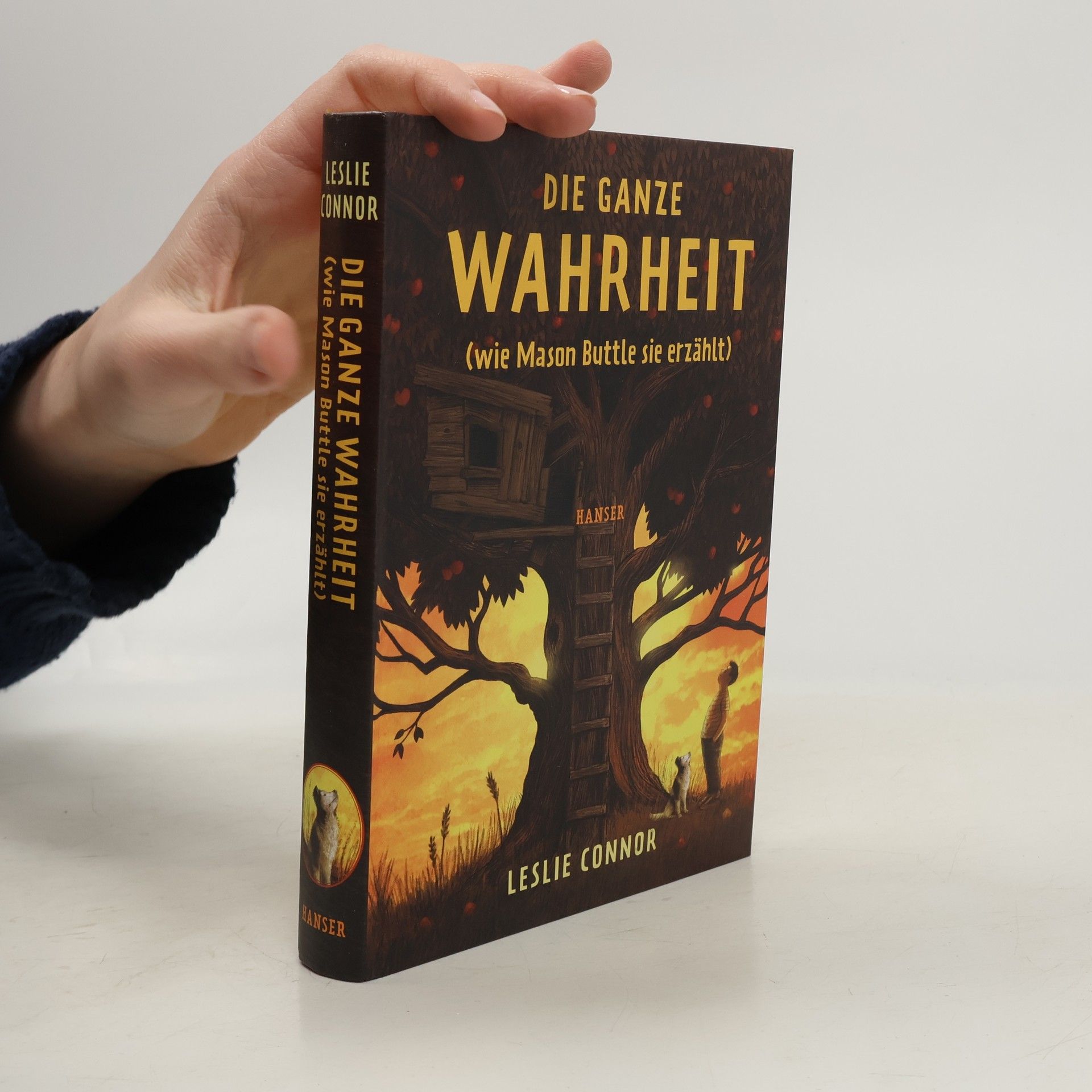 Leslie Connor Die ganze Wahrheit (wie Mason Buttle sie erzählt)