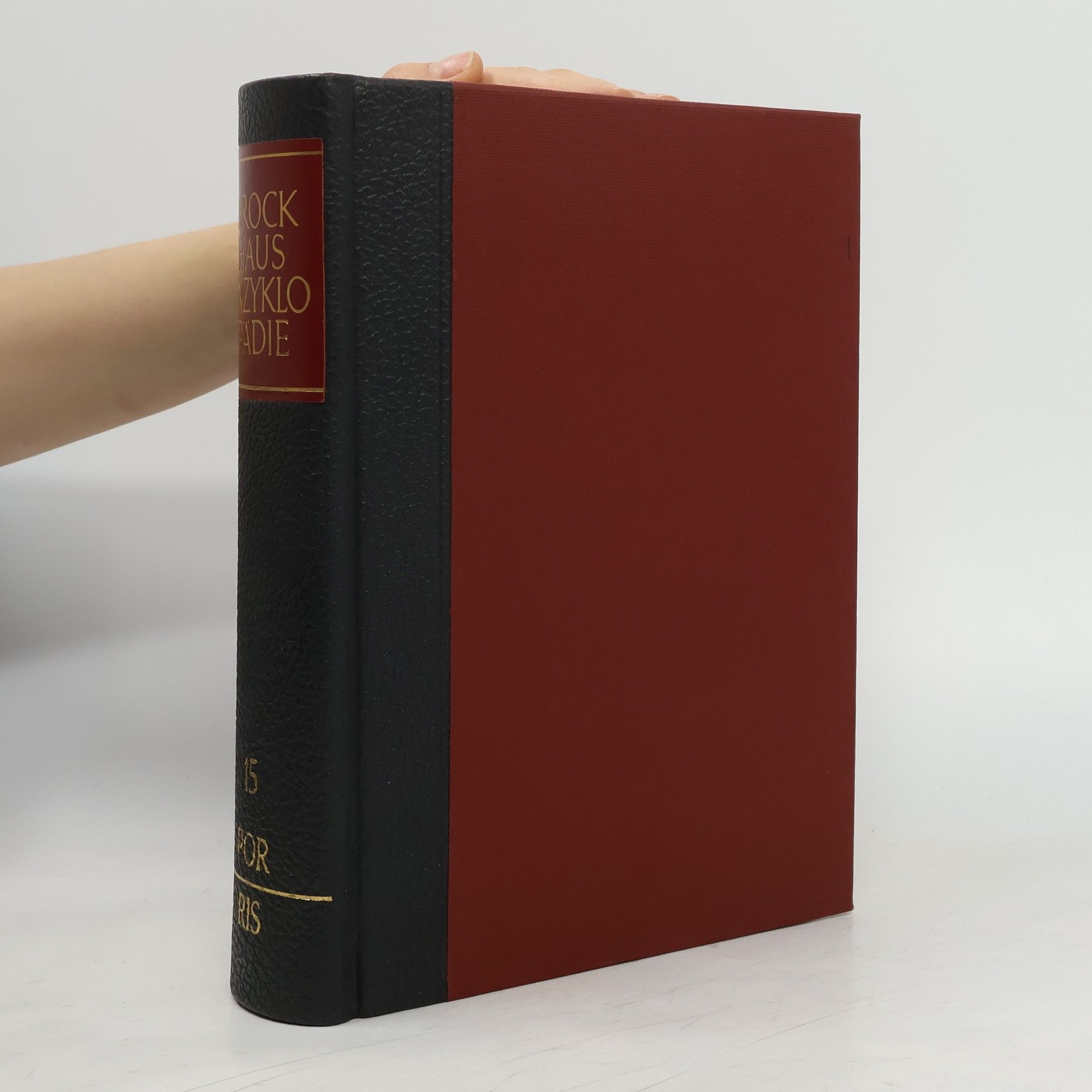 Collectif d'auteurs Brockhaus die Enzyklopädie 15