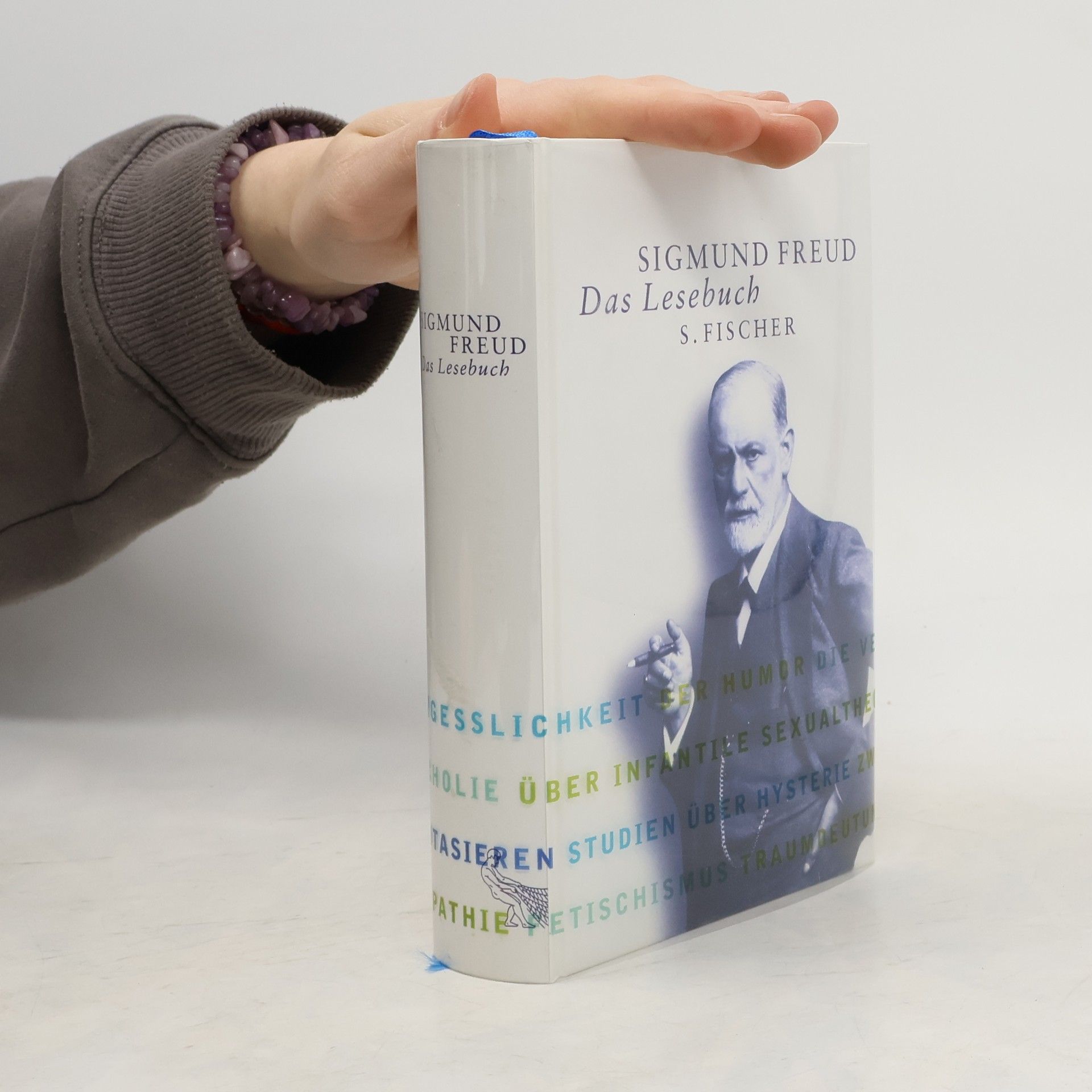 Sigmund Freud Das Lesebuch