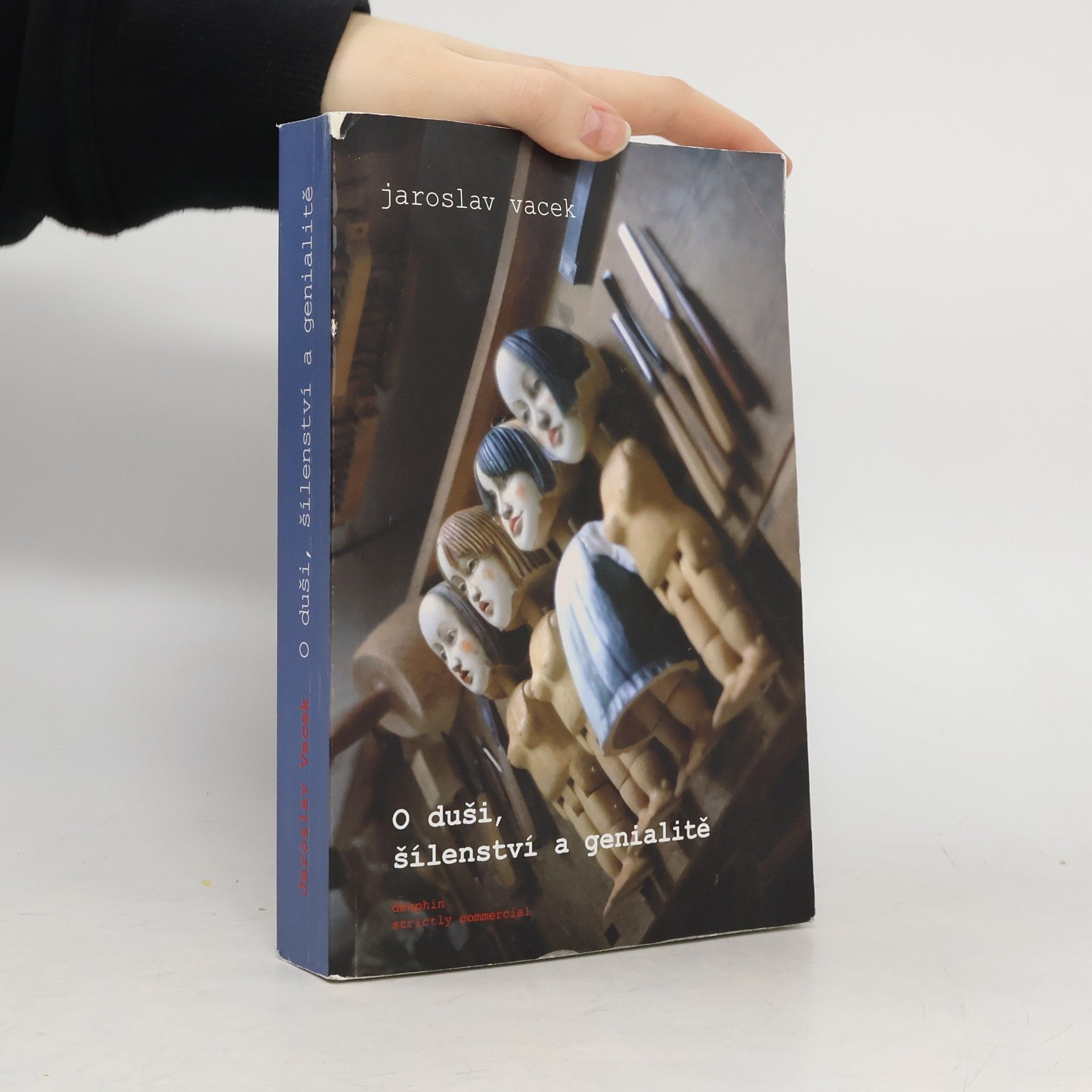 Jaroslav Vacek O duši, šílenství a genialitě