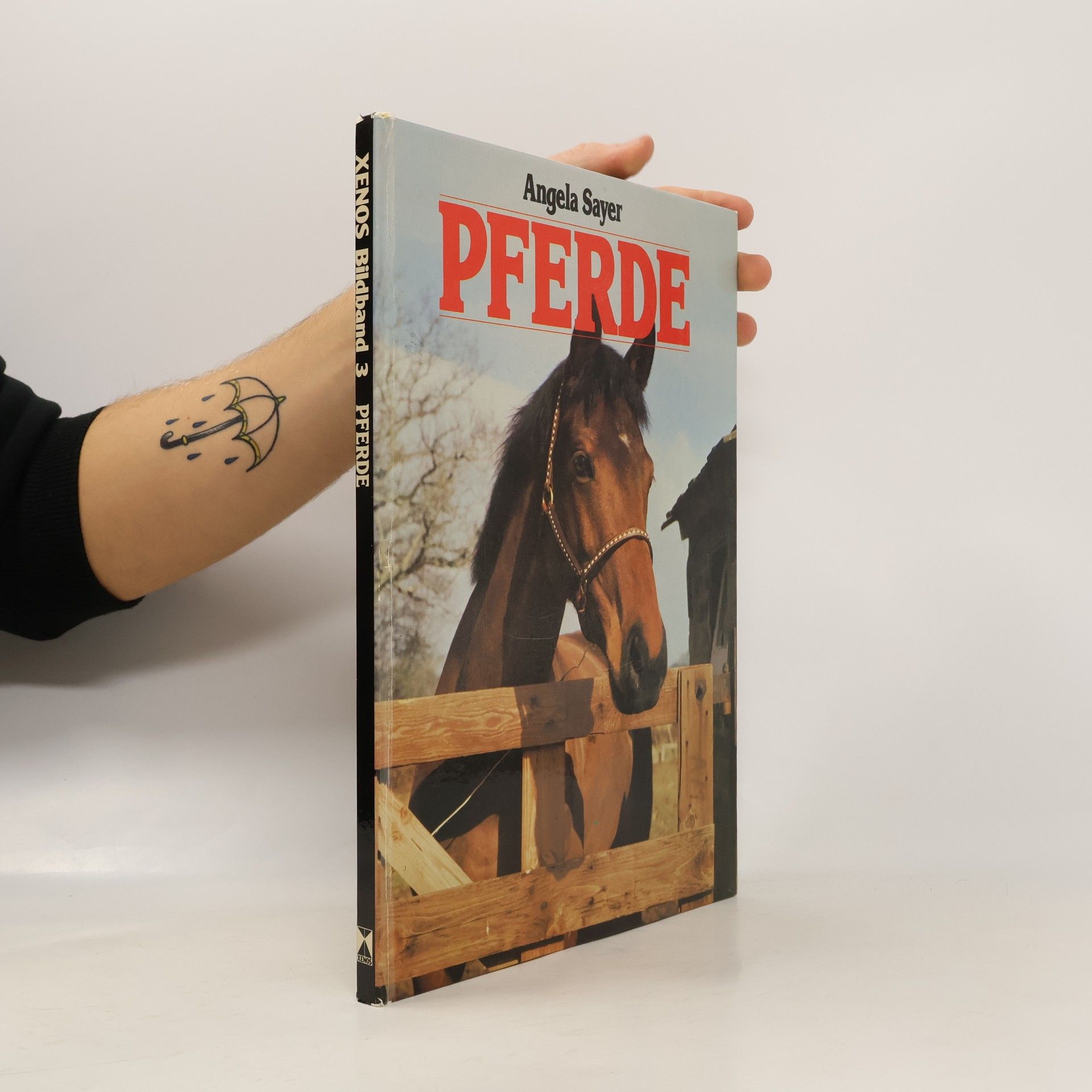Angela Rixon Pferde