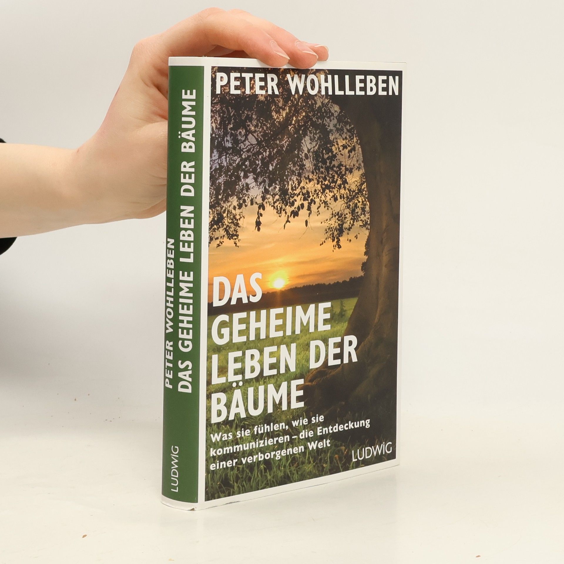 Peter Wohlleben Das geheime Leben der Bäume