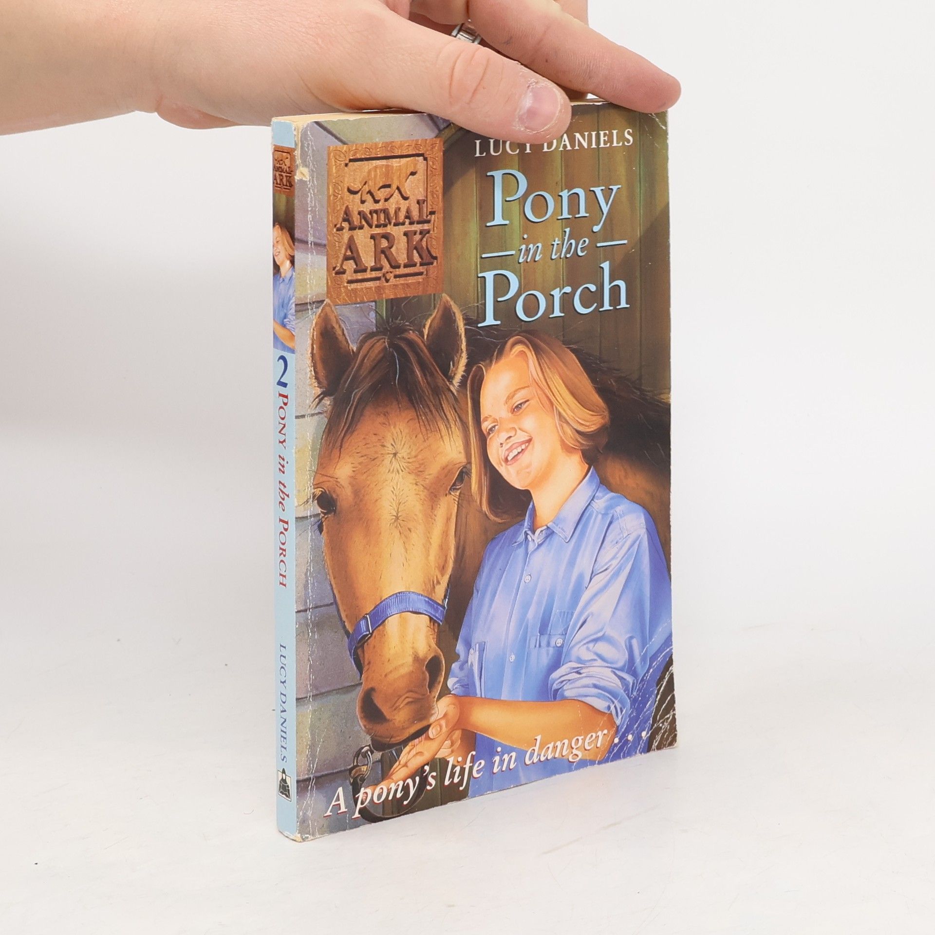 Lucy Daniels Pony in the Porch