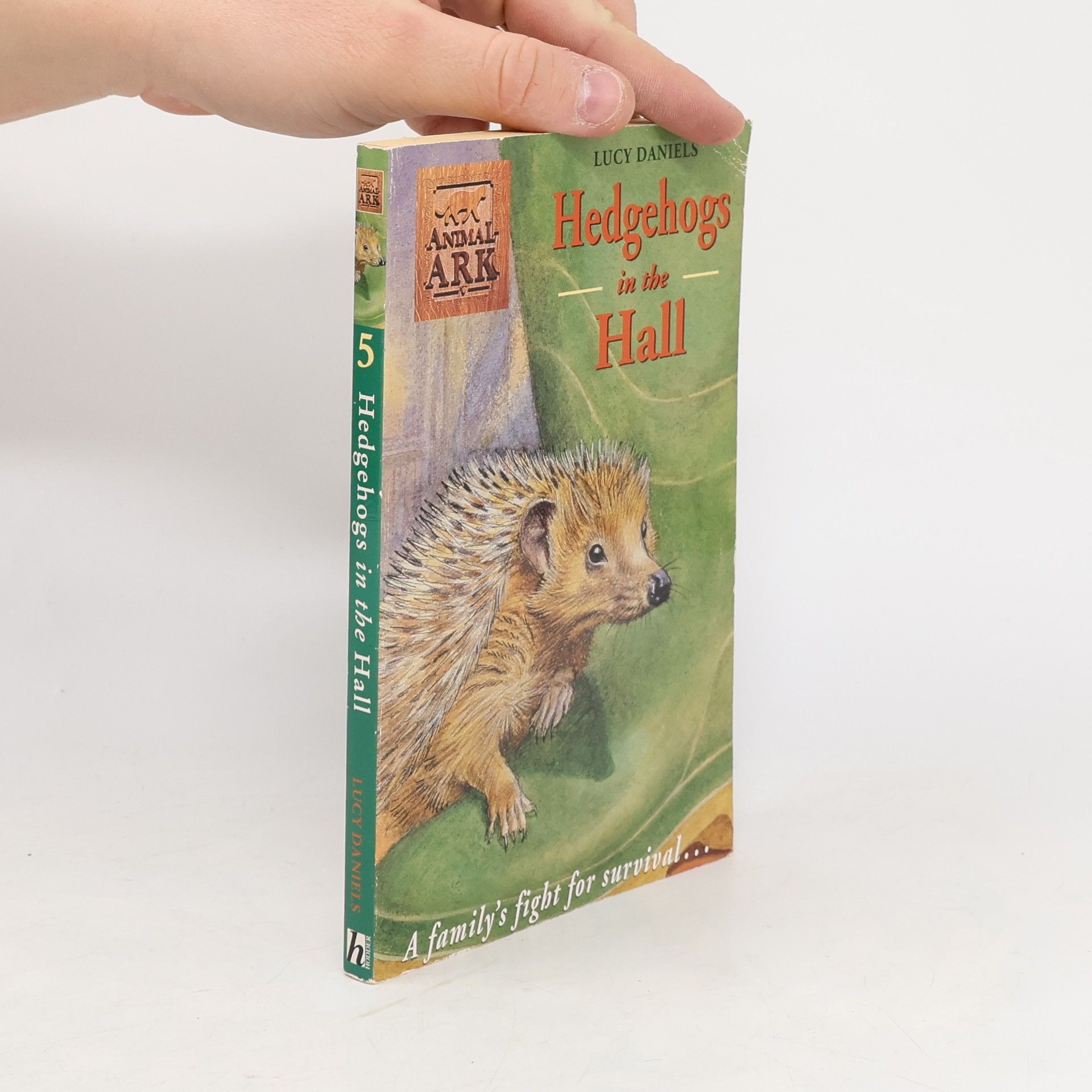 Lucy Daniels Hedgehogs in the Hall