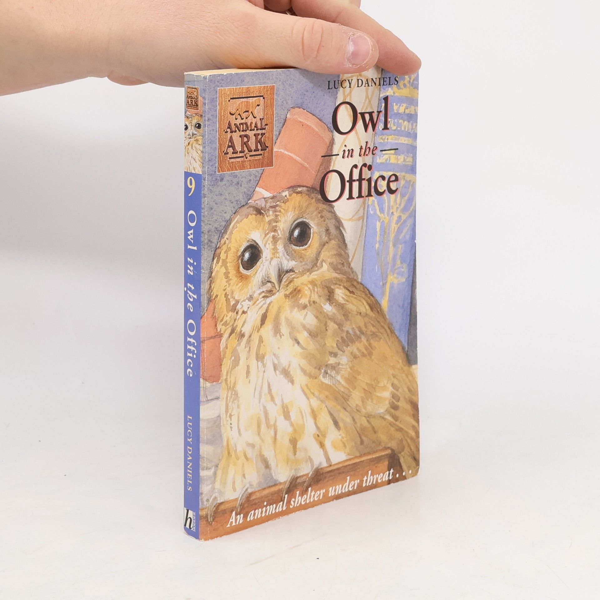 Lucy Daniels Owl in the Office