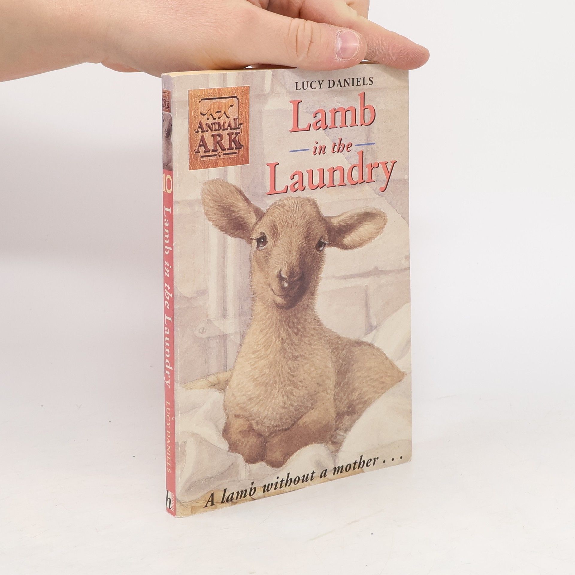 Ben Baglio Lamb in the Laundry