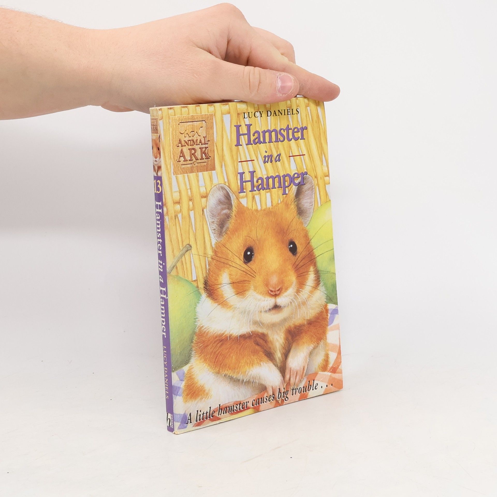 Lucy Daniels Hamster in a Hamper