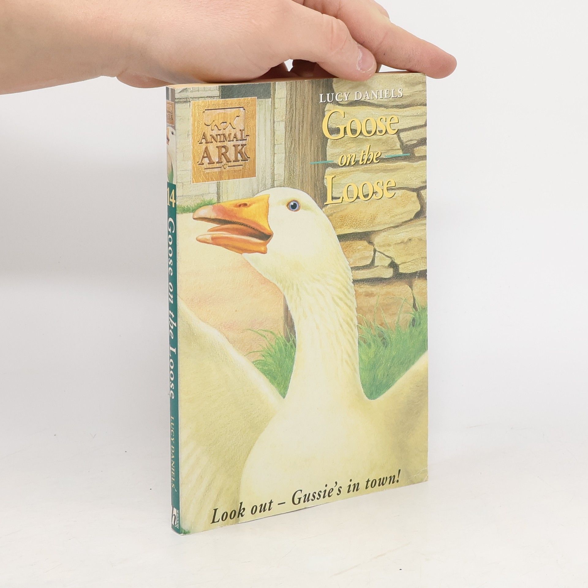 Lucy Daniels Goose on the Loose