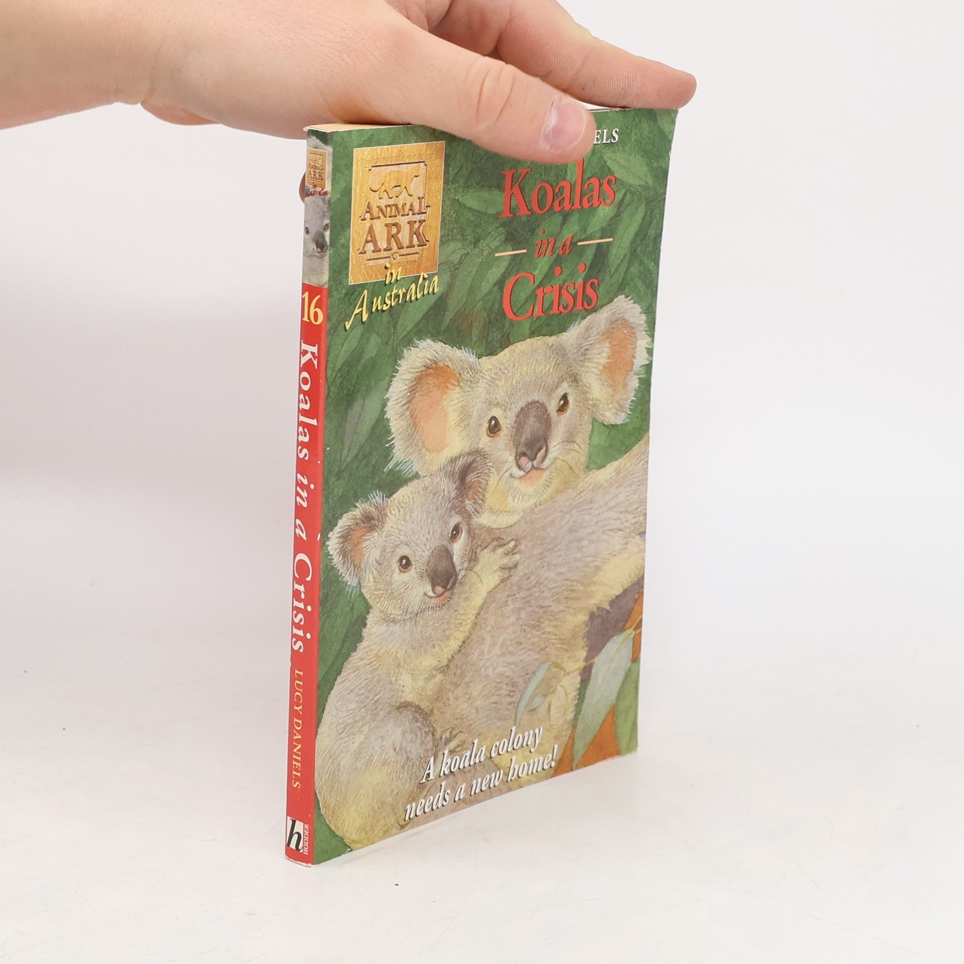 Lucy Daniels Animal Ark Series - 16: Koalas in a Crisis